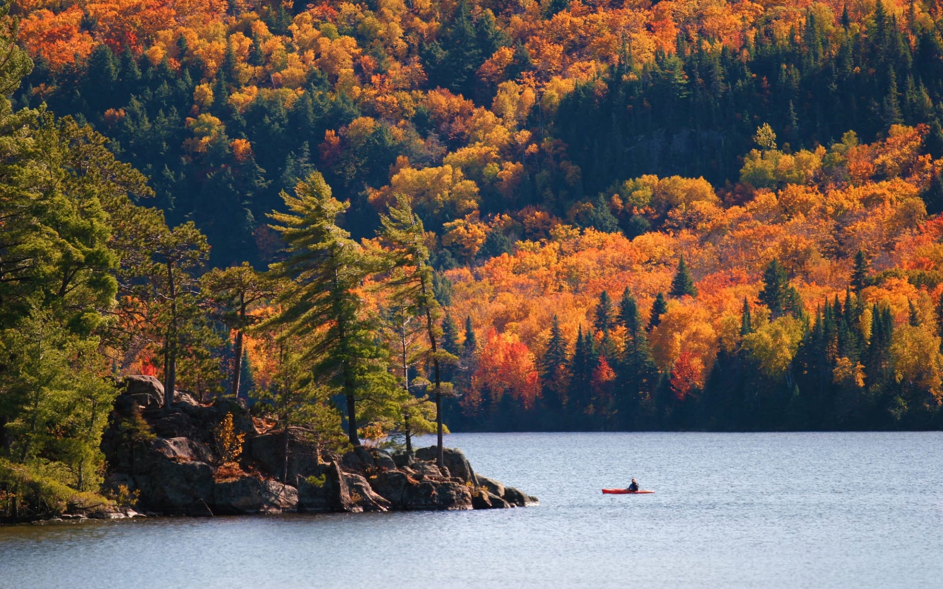 Kanu- & Hüttenabenteuer im Algonquin Provinzpark ab South River: Algonquin Provincial Park