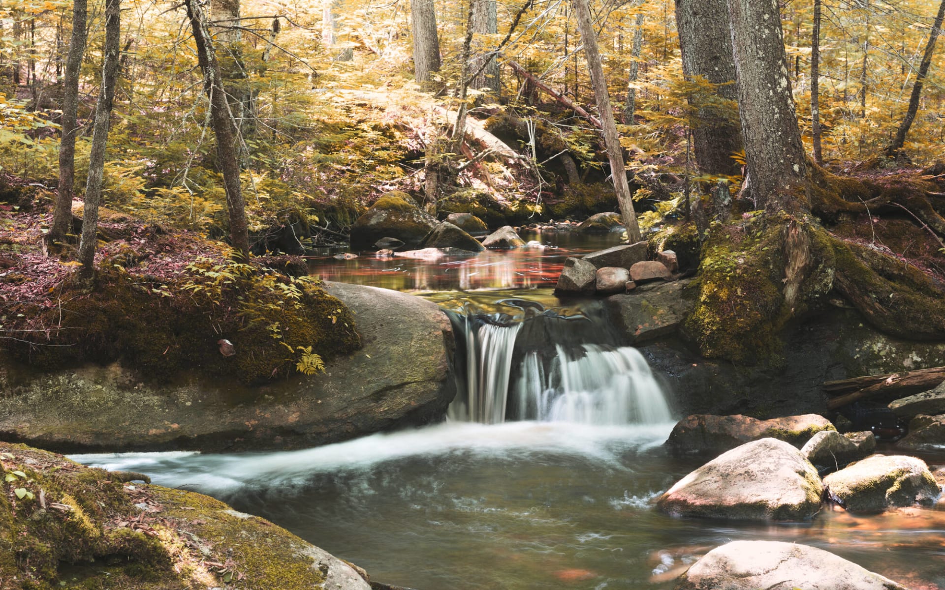 Übernachten bei den Wölfen im Parc Oméga ab Montebello: Kanada - La Mauricie Nationalpark Quebec - herbstliche Landschaft