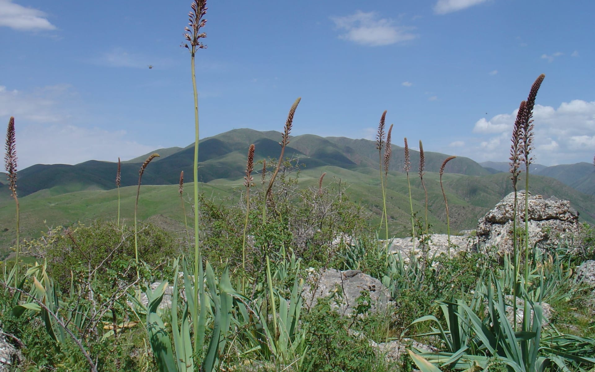 Kasachstan und Kirgistan kompakt ab Almaty: Kasachstan - Zabagly