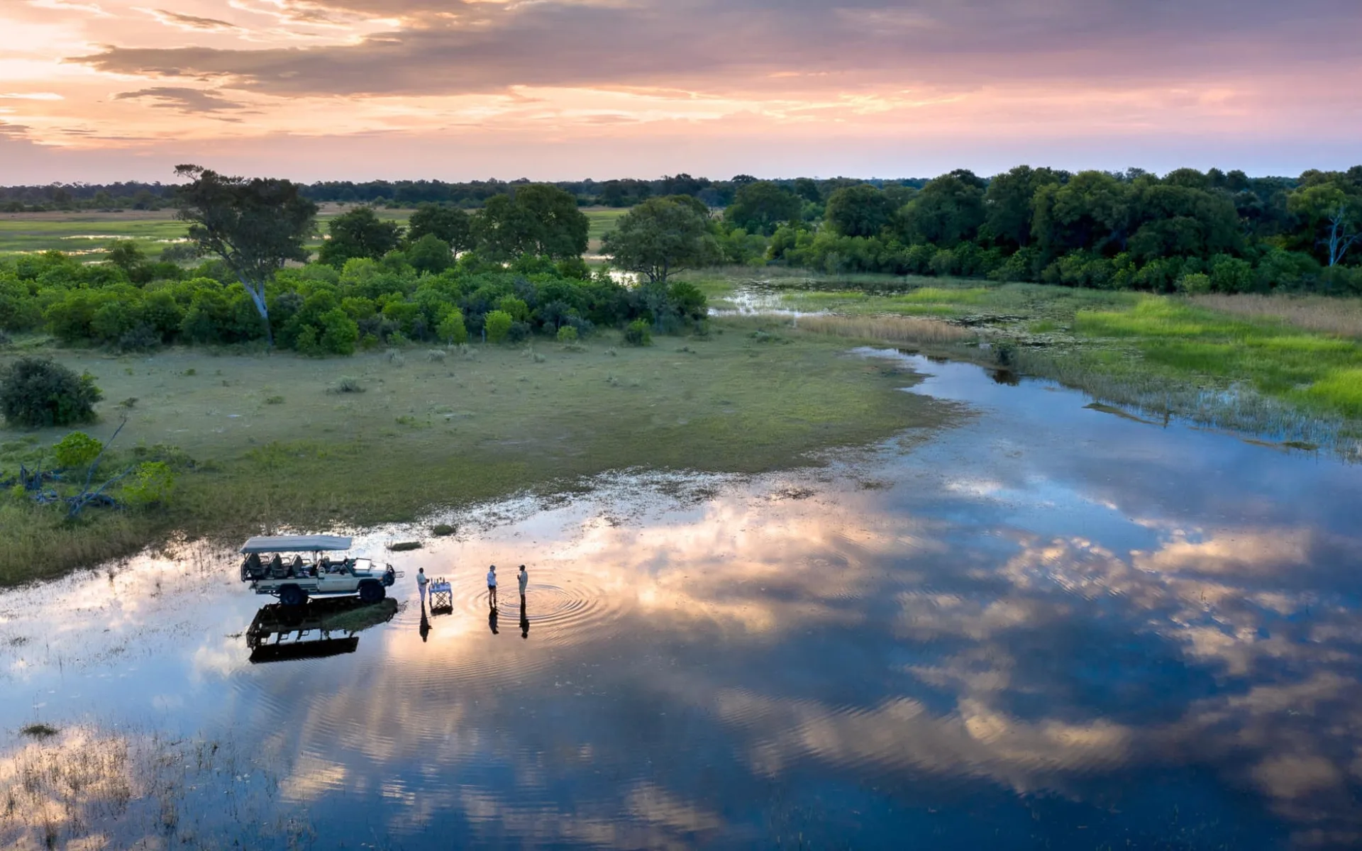 Khwai Leadwood in Moremi Game Reserve: Khwai Leadwood_1 Khwai Leadwood in Moremi Game Reserve: Khwai Leadwood_1