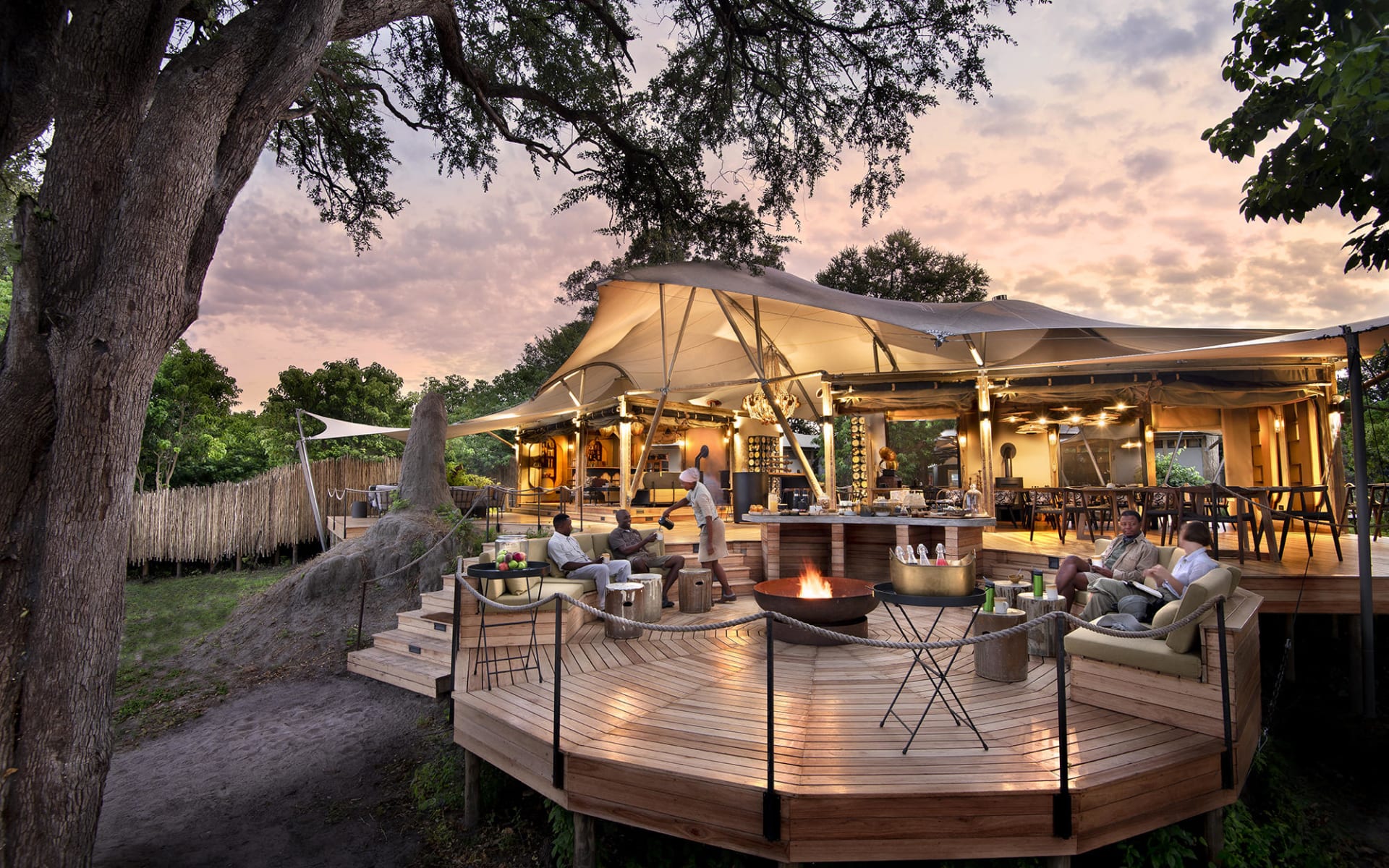 Khwai Leadwood in Moremi Game Reserve: Khwai Leadwood Khwai Leadwood in Moremi Game Reserve: Khwai Leadwood