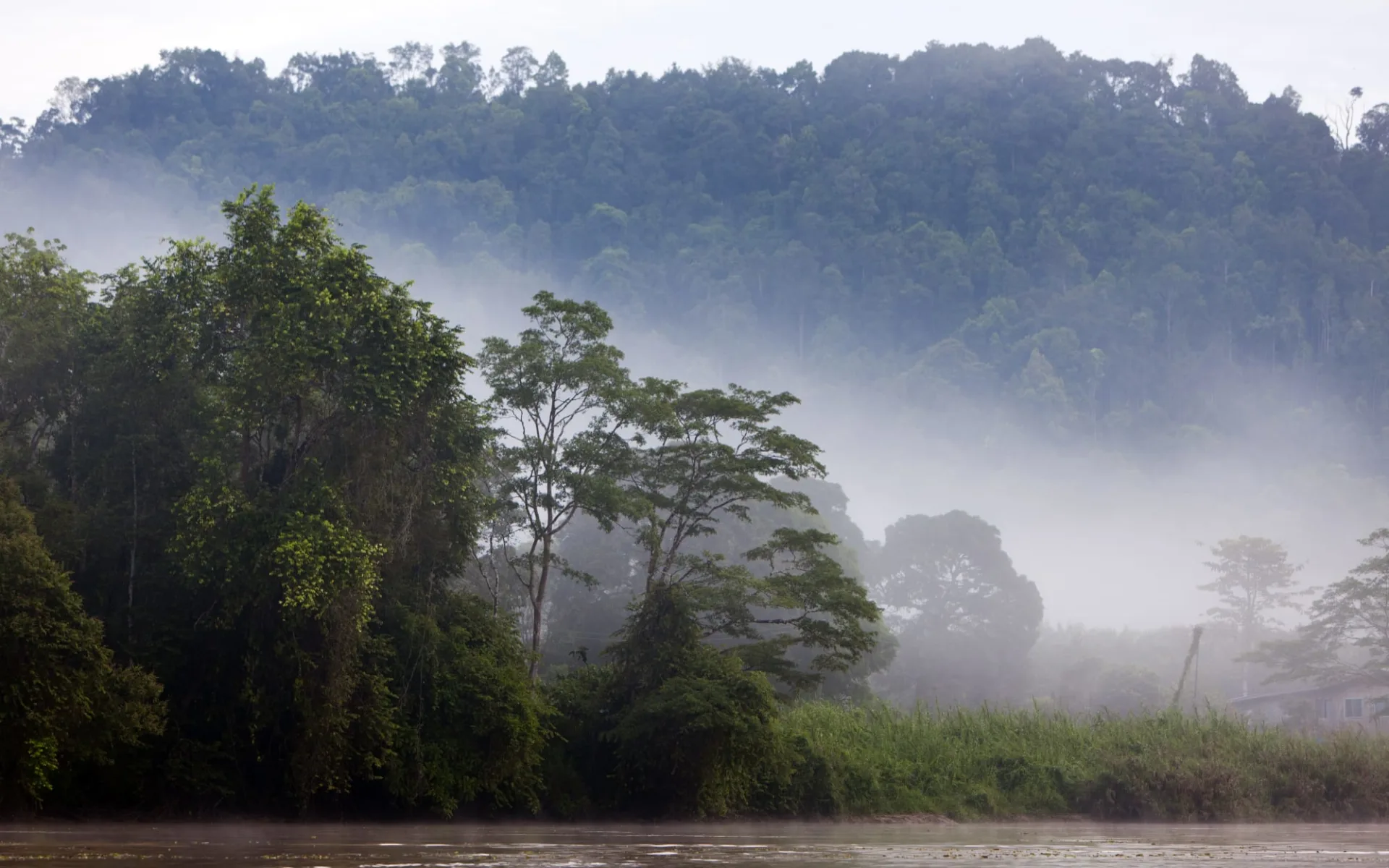 Borneo Wildlife / Tabin Wildlife Reserve ab Kota Kinabalu: Kinabatangang River