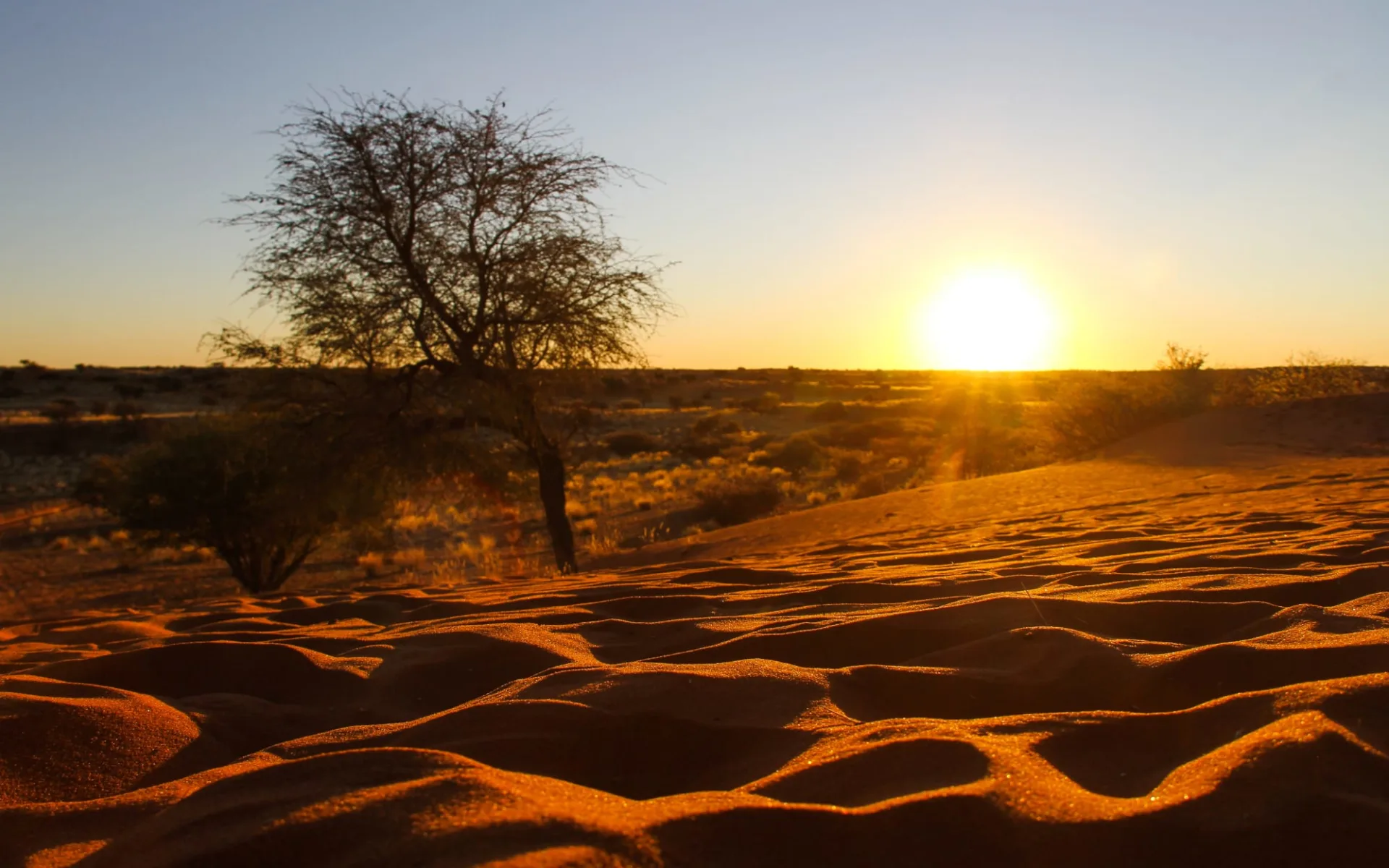 Hoodia Desert Lodge in Maltahöhe: Namibia Kalahari, Sonnenuntergang Kalahari Wüste