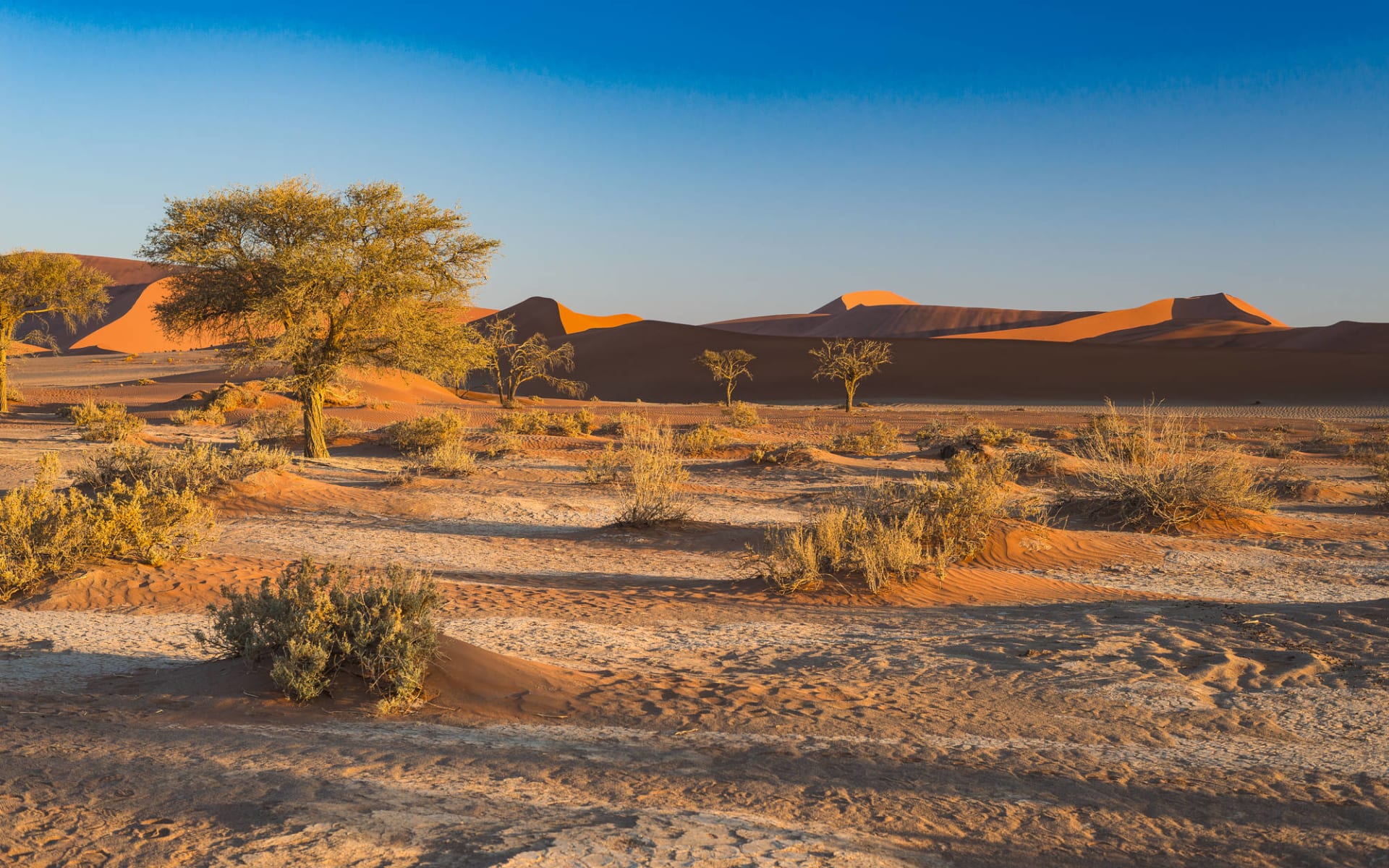 Namibia Klassiker 13 Tage ab Windhoek Stadt: Sossusvlei Namibia Klassiker 13 Tage ab Windhoek Stadt: Sossusvlei