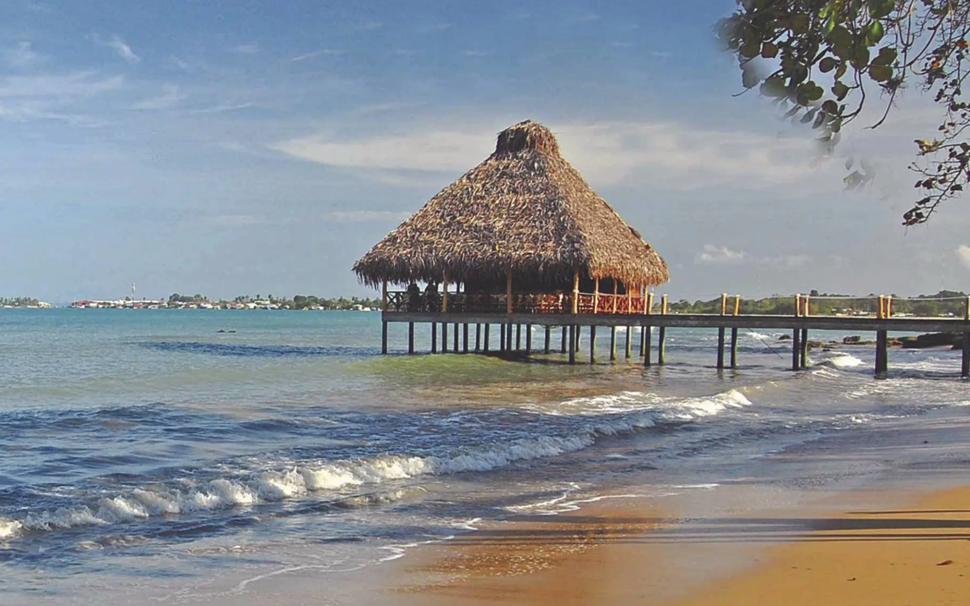 Playa Tortuga in Isla Colon: natur playa tortuga meer strand