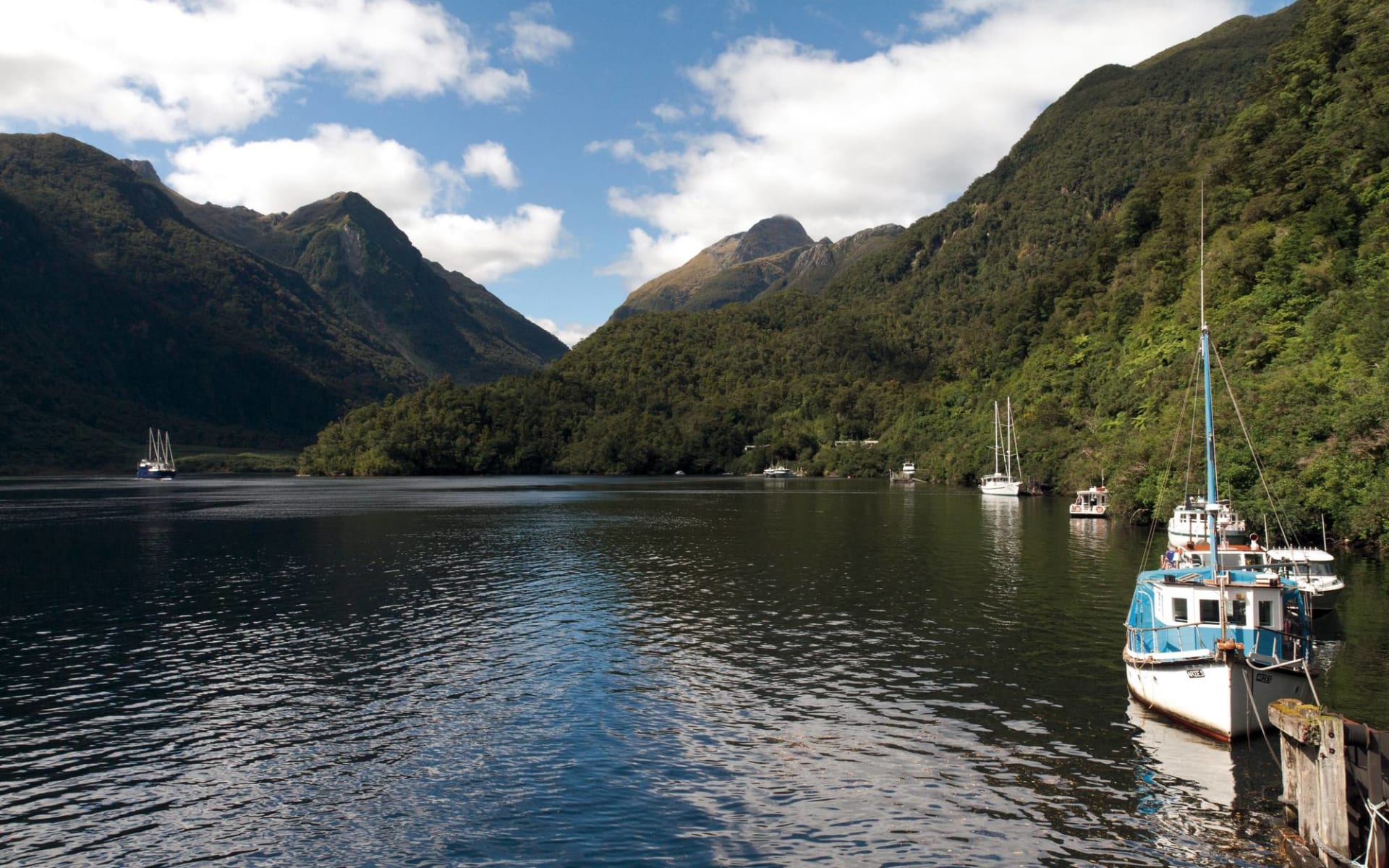 Doubtful Sound Overnight Cruise ab Queenstown: Neuseeland - Südinsel - Doubtful Sound Doubtful Sound Overnight Cruise ab Queenstown: Neuseeland - Südinsel - Doubtful Sound