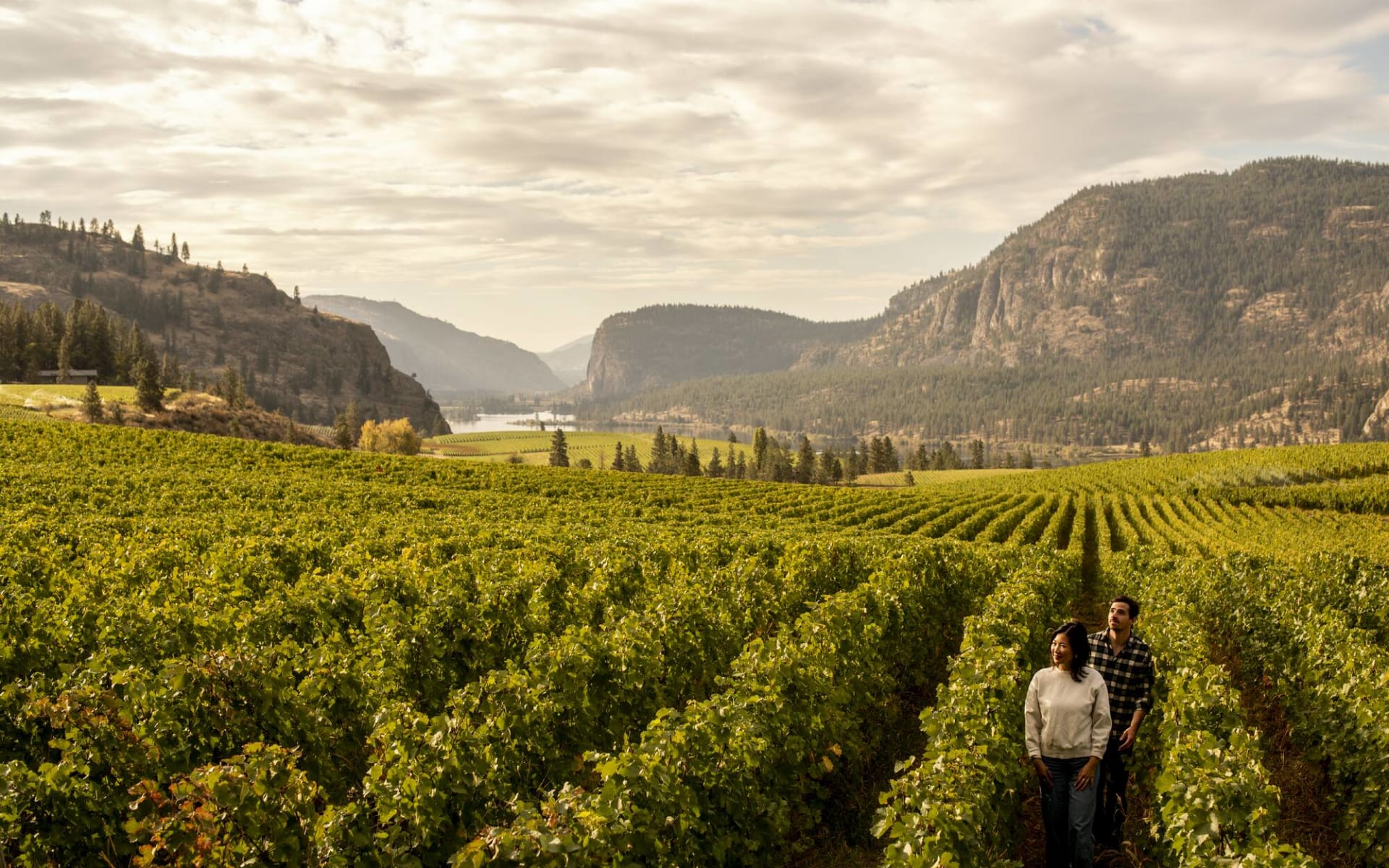 Valleys & Vineyards ab Vancouver: Osoyoos Valleys & Vineyards ab Vancouver: Osoyoos