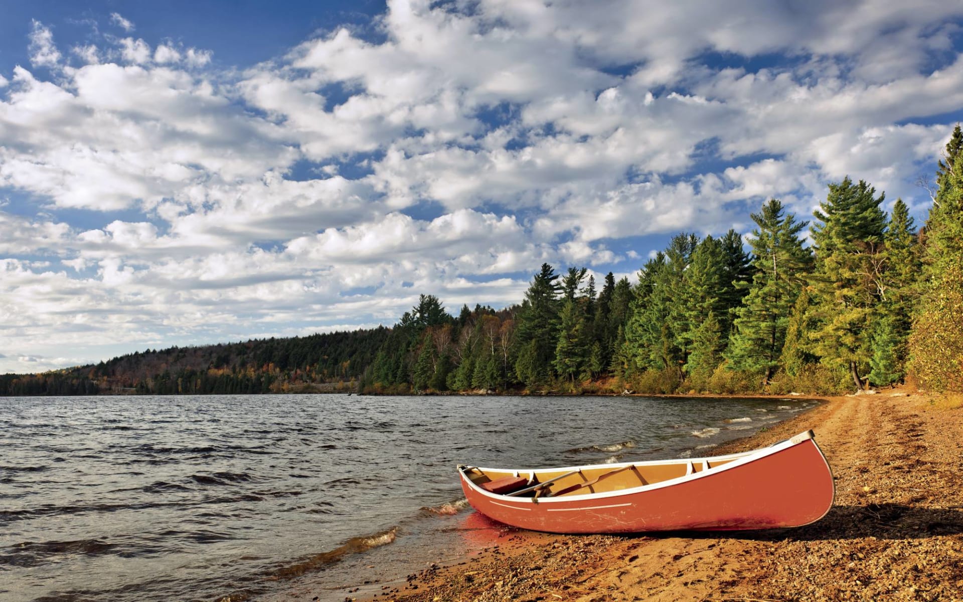 Privatinsel mitten in der Natur ab Algonquin Provincial Park: Ostkanada - Ontario - Algonquin Provincial Park