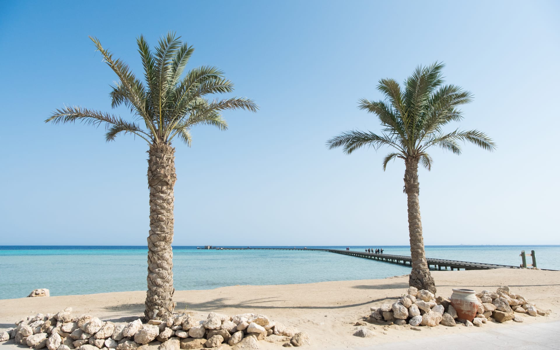 Badeferien im Sheraton Soma Bay ab Hurghada: Palmen Soma Bay, Hurghada Badeferien im Sheraton Soma Bay ab Hurghada: Palmen Soma Bay, Hurghada