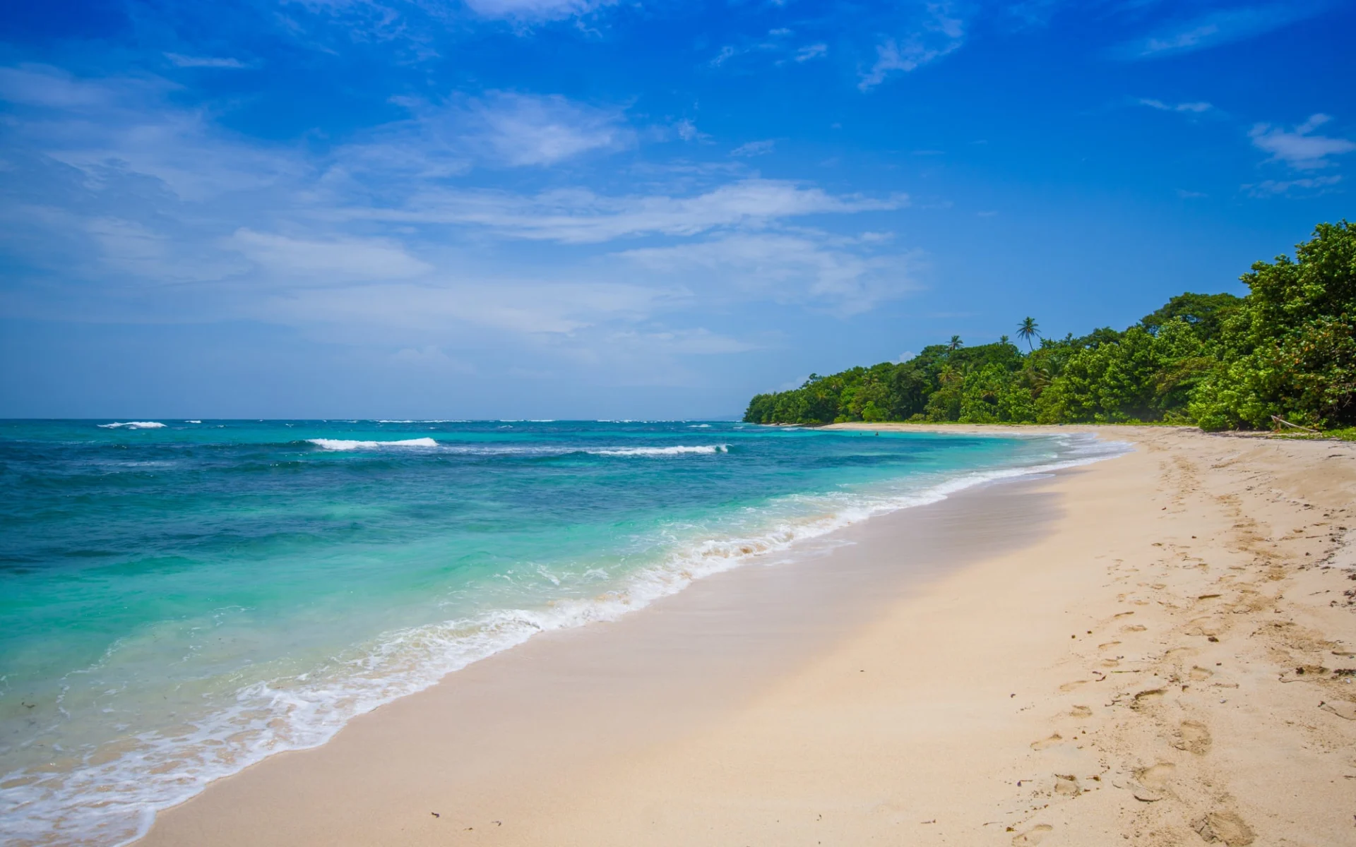 Vom Kanal zur Karibik ab Panama City: Panama - Bocas del Toro - Isla Zapatille Strand Vom Kanal zur Karibik ab Panama City: Panama - Bocas del Toro - Isla Zapatille Strand