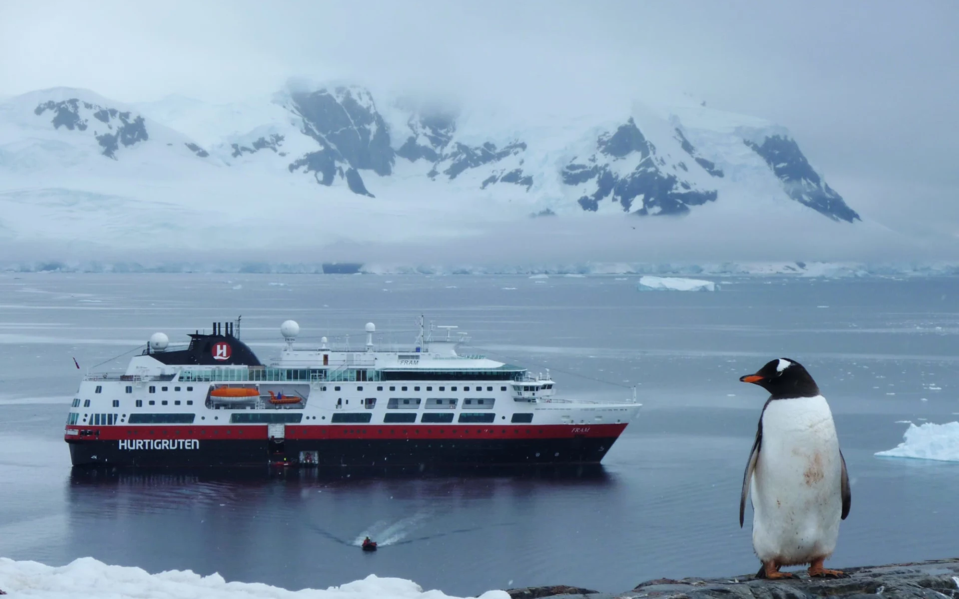 Die Natur erwacht zu neuem Leben – Expedition in die Antarktis im Frühjahr ab Buenos Aires: Penguin_and_MS_Fram_Antarctica__HGR_83979_Photo_Photo_Competition