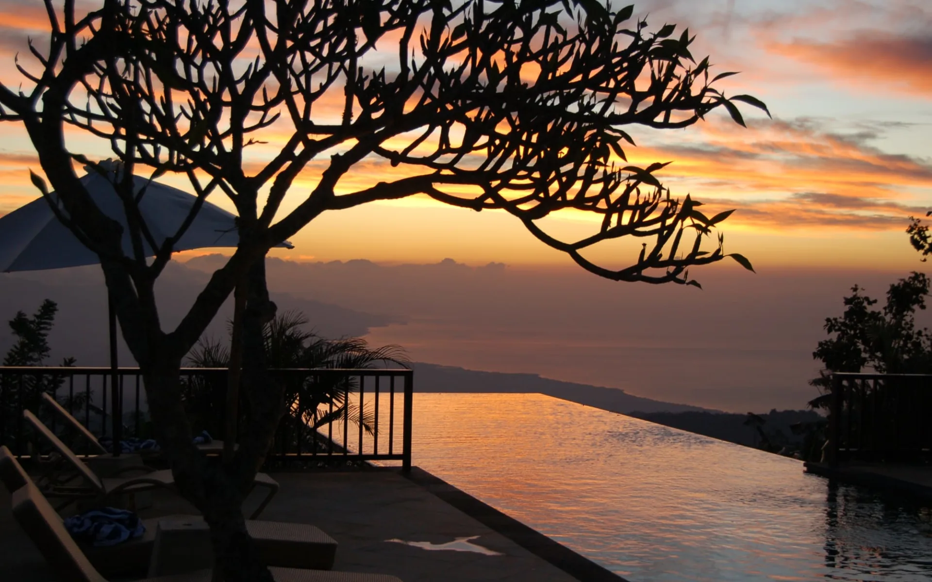 Munduk Moding Plantation Nature Resort in Nordbali: pool: Munduk Moding Plantation Nature Resort in Nordbali: pool: