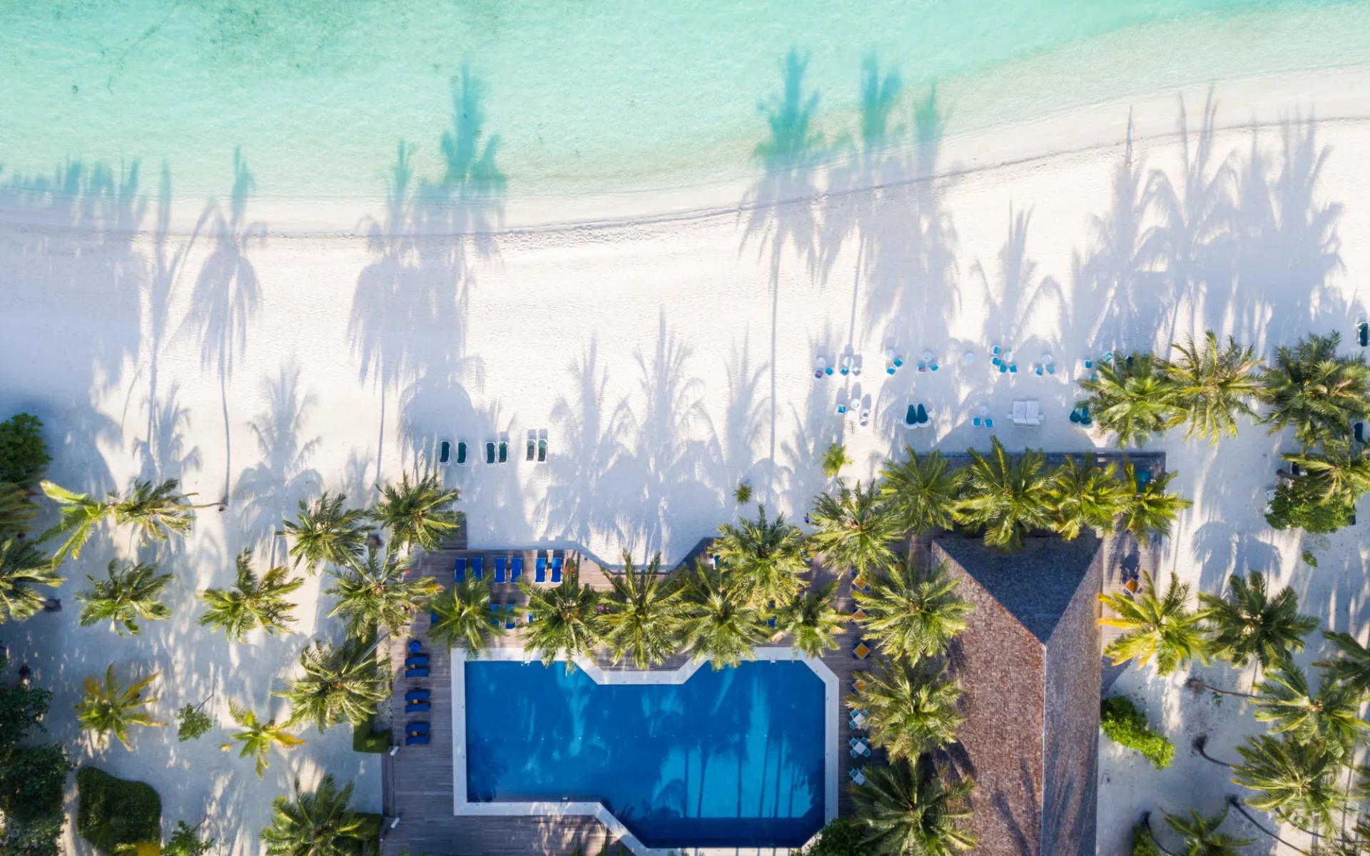 Meeru Maldives Resort Island in Nordmale-Atoll: pool: Meeru Maldives Resort Island in Nordmale-Atoll: pool: