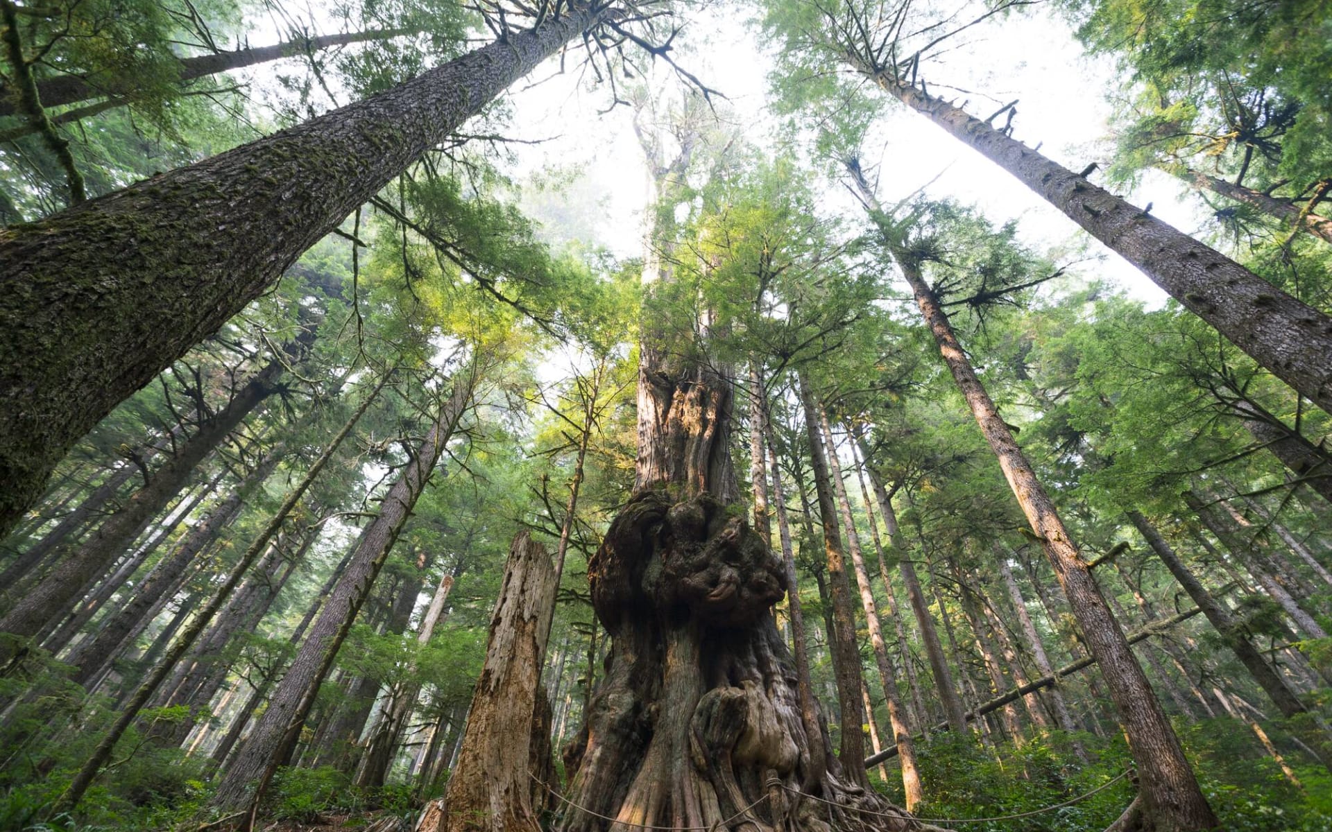 The Infinite Coast ab Vancouver: Port Renfrew The Infinite Coast ab Vancouver: Port Renfrew
