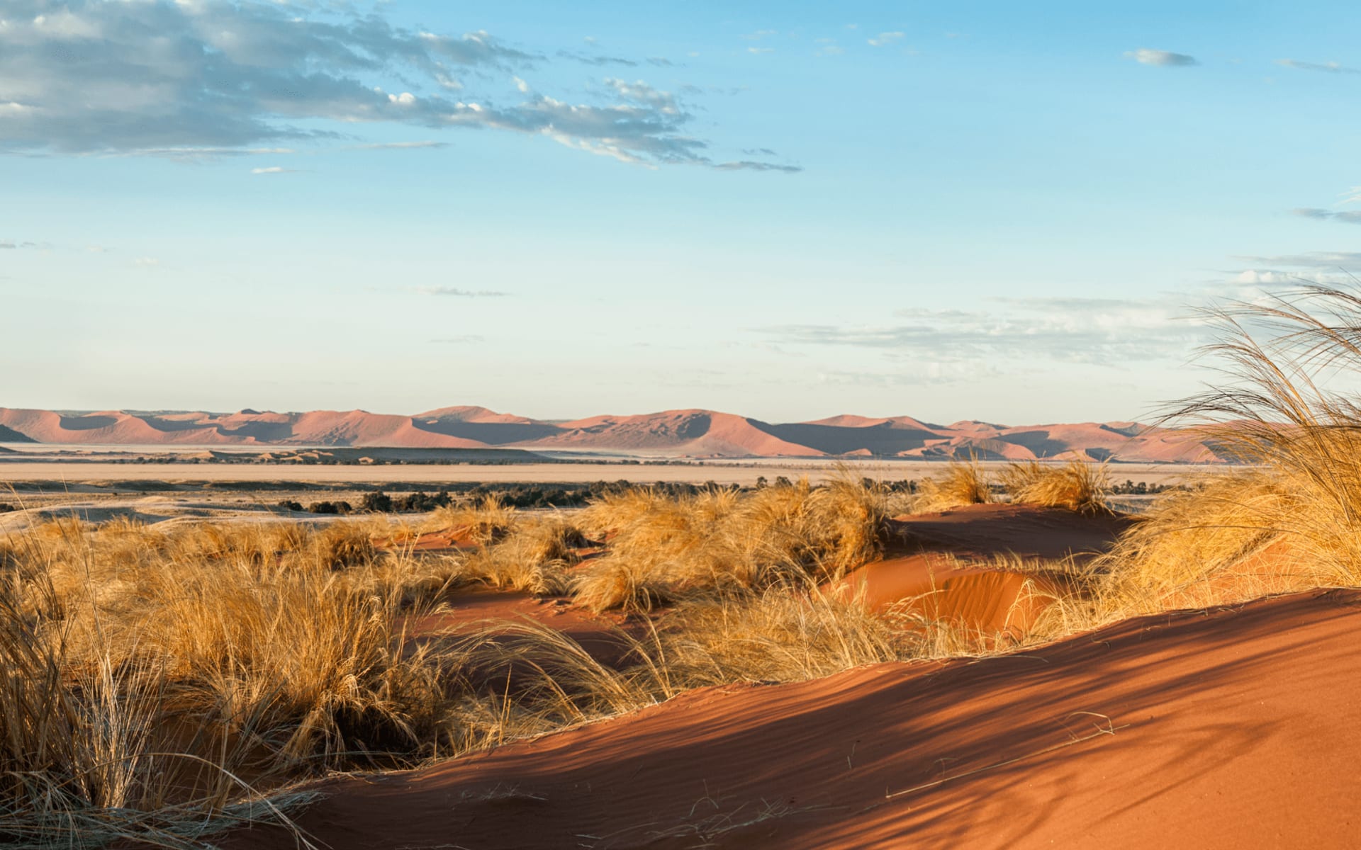 Premium: Namibia Royal ab Windhoek Stadt: Premium_Namibia_Royal_Sossuvlei Premium: Namibia Royal ab Windhoek Stadt: Premium_Namibia_Royal_Sossuvlei