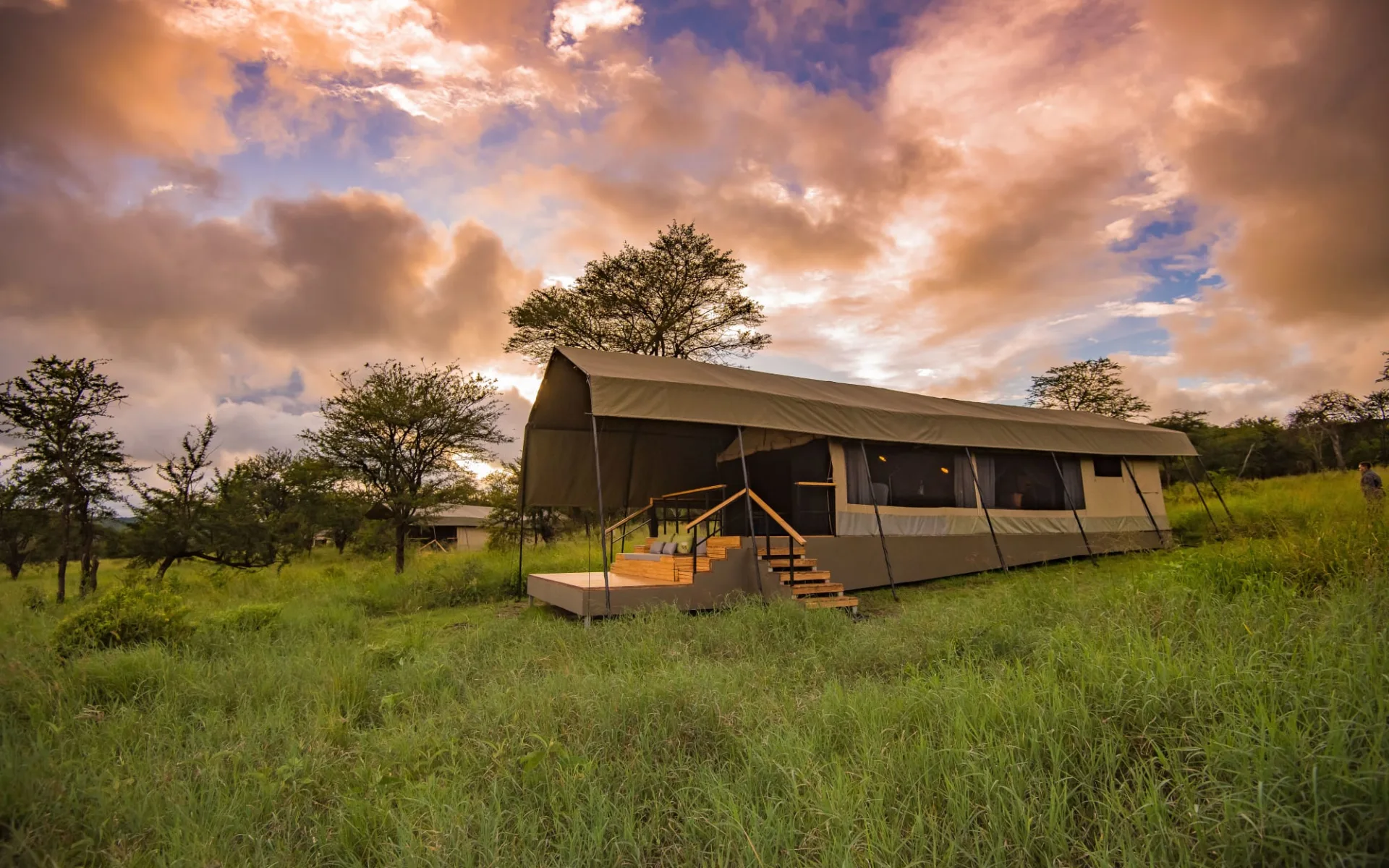 Dunia Camp in Serengeti: room: Dunia Camp in Serengeti: room:
