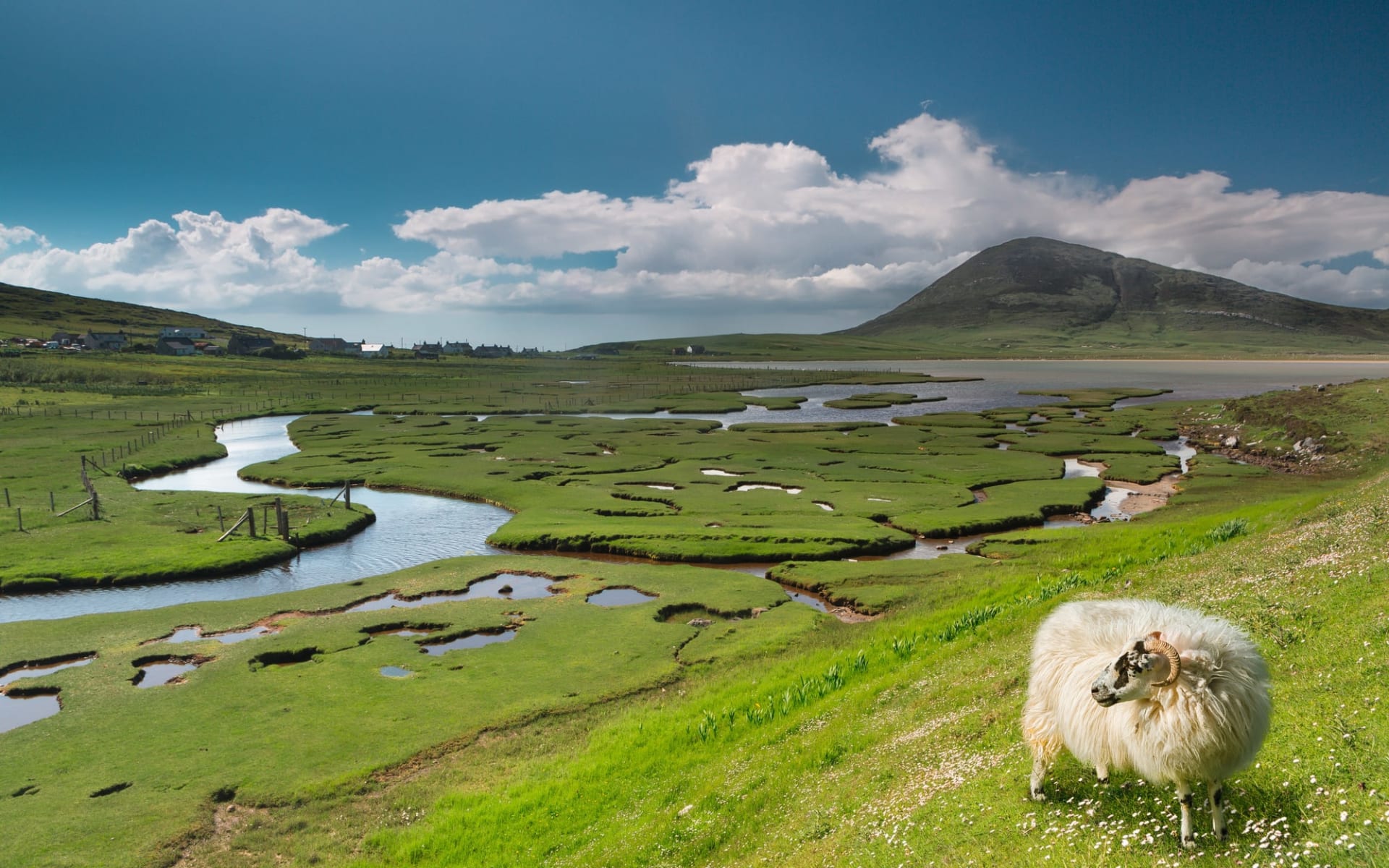 Royal Scotsman ab Edinburgh: Schottland_Harris_