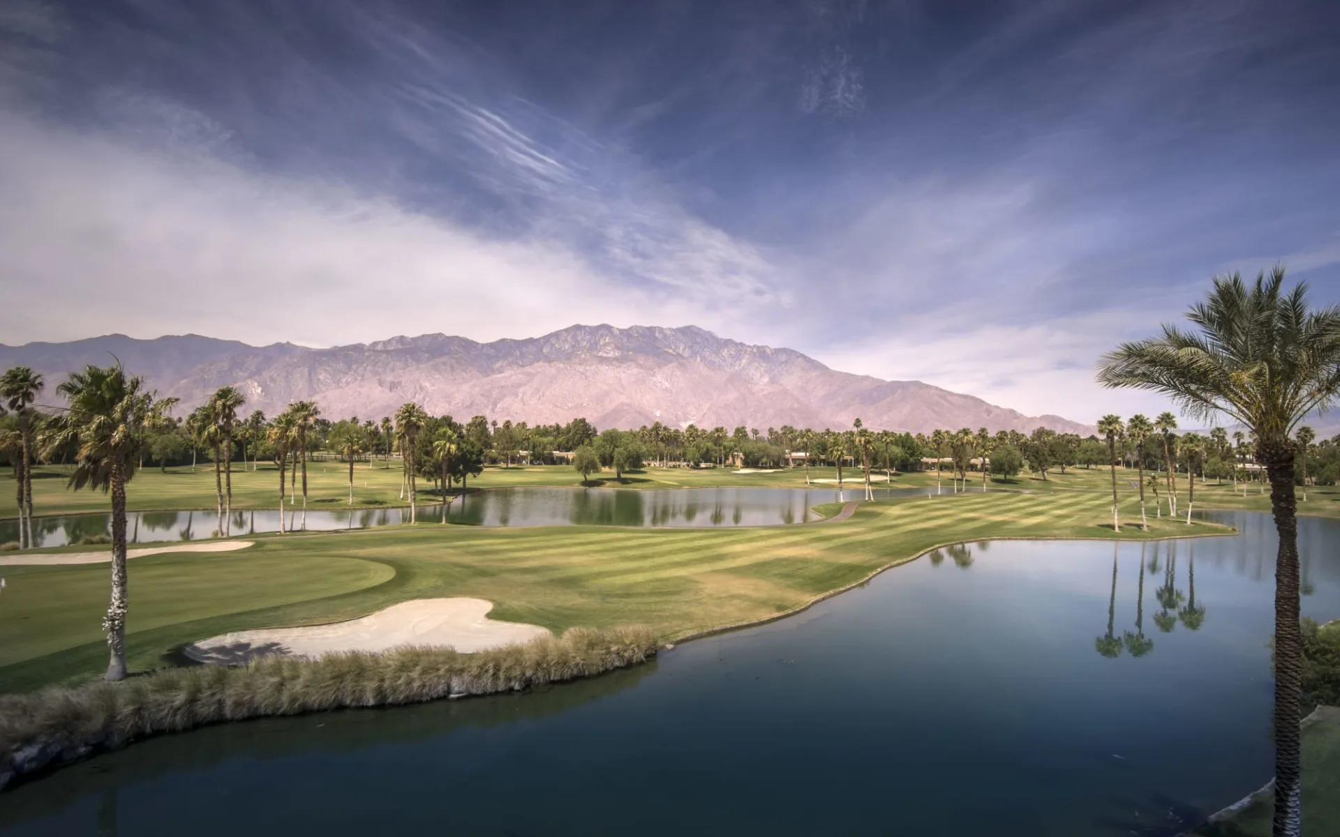 Omni Rancho Las Palmas Resort & Spa in Palm Springs: shutterstock_282404792_palm Omni Rancho Las Palmas Resort & Spa in Palm Springs: shutterstock_282404792_palm