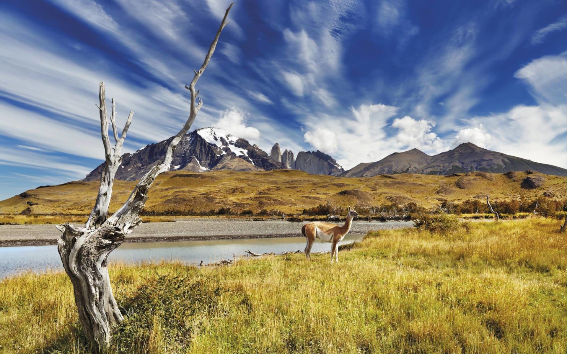 Privatreise Aguas del Sur ab Santiago de Chile: Torres del Paine Privatreise Aguas del Sur ab Santiago de Chile: Torres del Paine