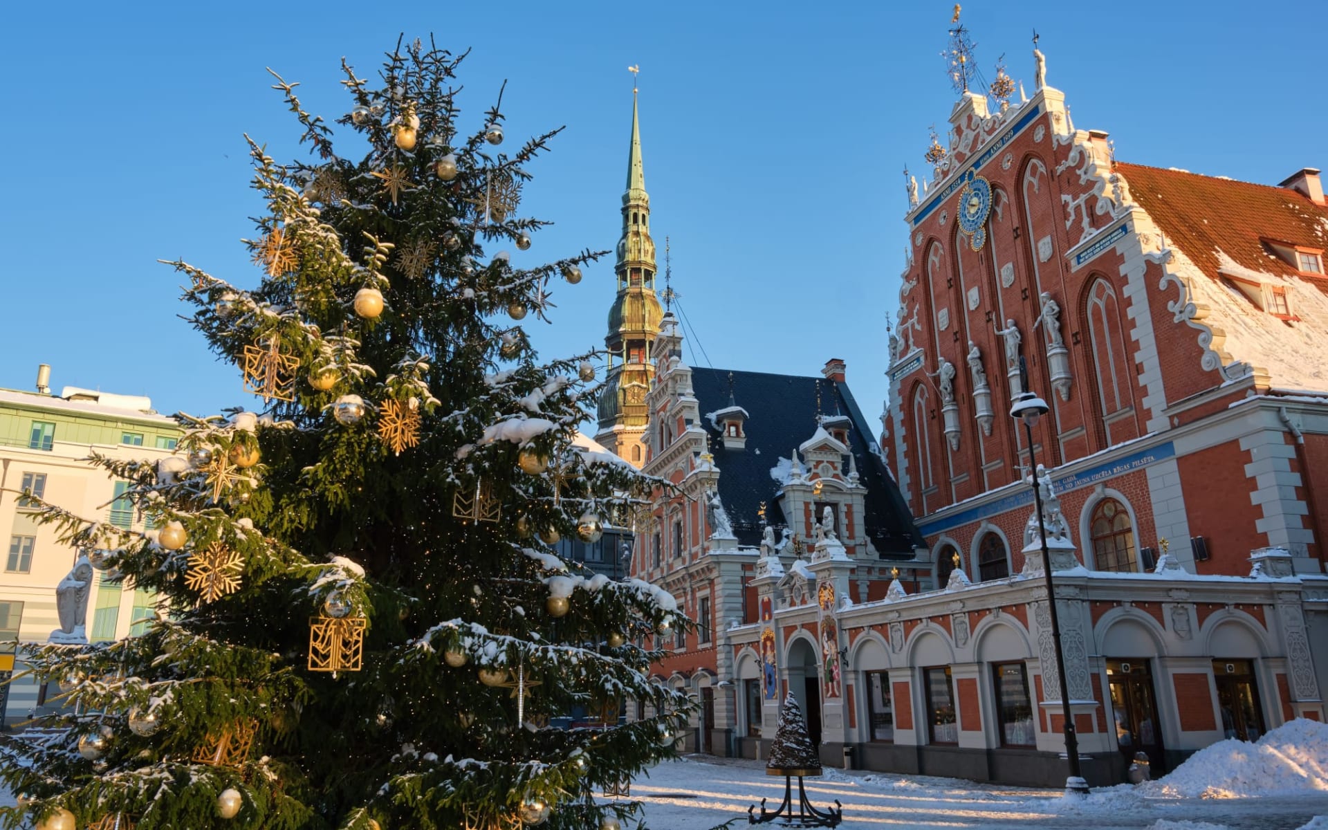 Weihnachtszauber in Riga: Weihnachten_Christbaum_Rathausplatz_Riga_Lettland