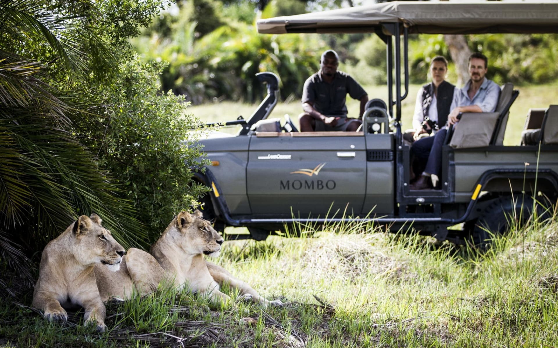 Mombo Camp & Little Mombo Camp in Moremi Game Reserve: Wilderness Mombo_6 Mombo Camp & Little Mombo Camp in Moremi Game Reserve: Wilderness Mombo_6