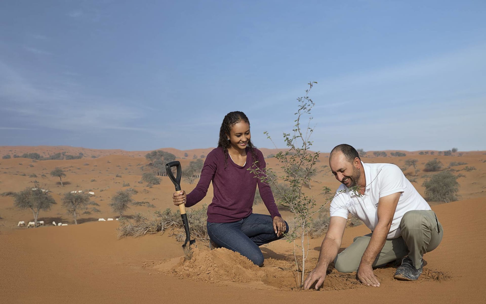The Ritz-Carlton Ras Al Khaimah, Al Wadi Desert in Ras al Khaimah: activities: 
