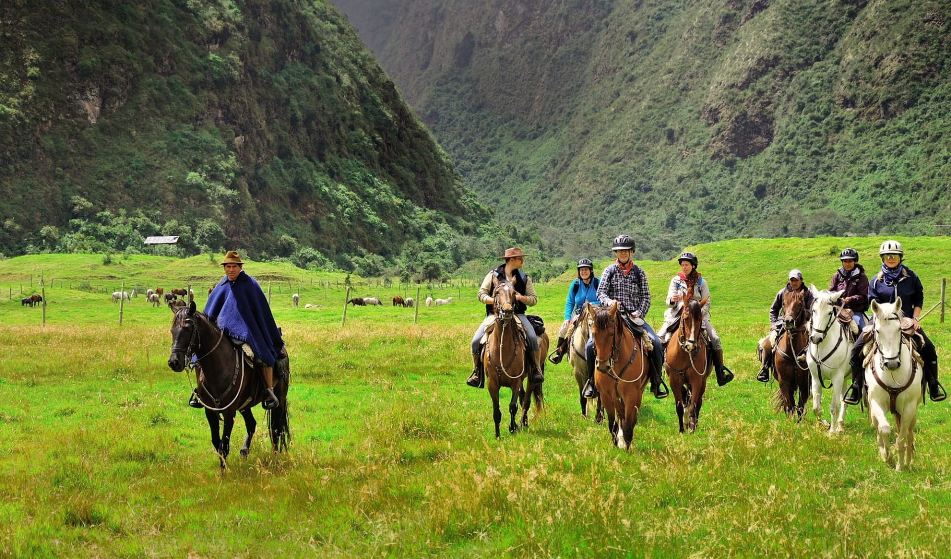 Haciendas del Ecuador ab Quito: Pferdeausritt