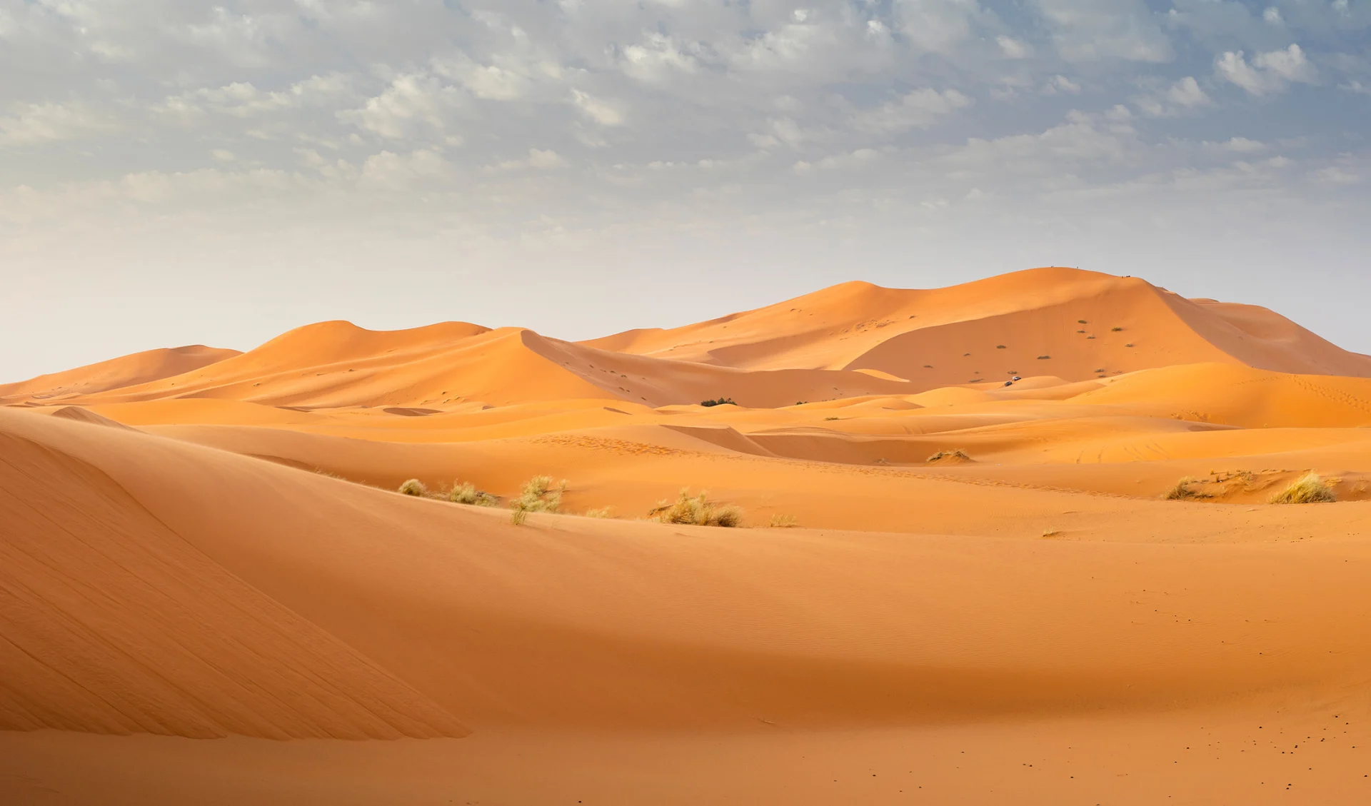 Sahara, Marokko Sahara, Marokko