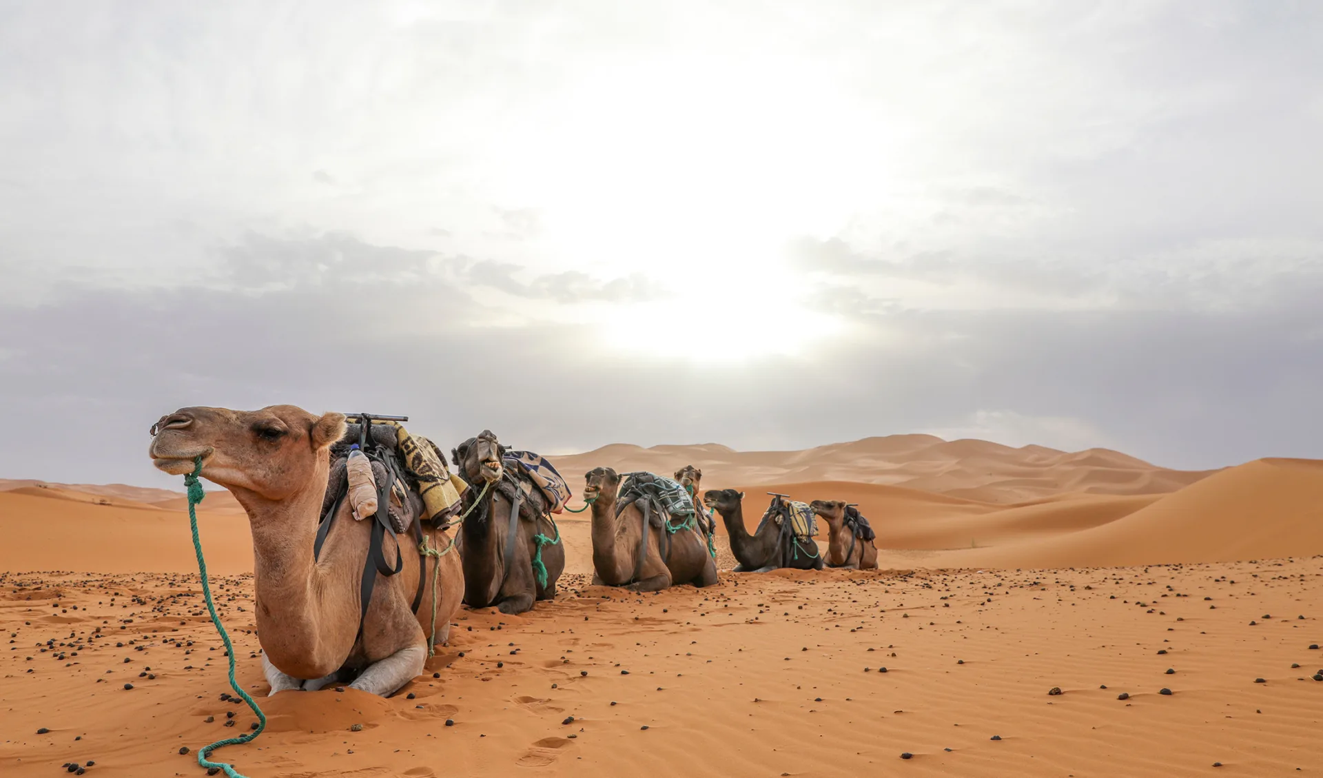 Sahara Trip, Marokko Sahara Trip, Marokko