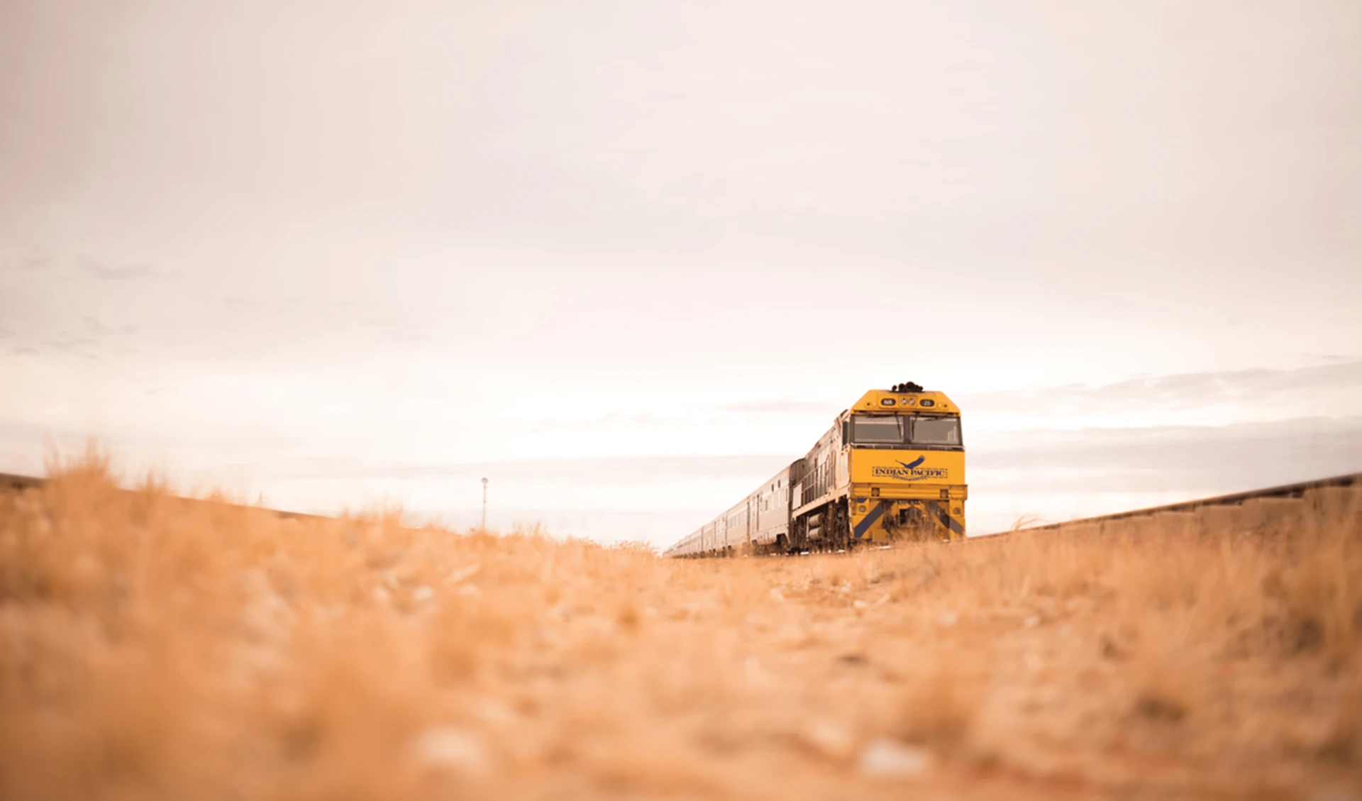 Indian Pacific von Sydney nach Adelaide: Australien - Bahnreisen - Indian Pacific auf Grasfläche 2018 Indian Pacific von Sydney nach Adelaide: Australien - Bahnreisen - Indian Pacific auf Grasfläche 2018