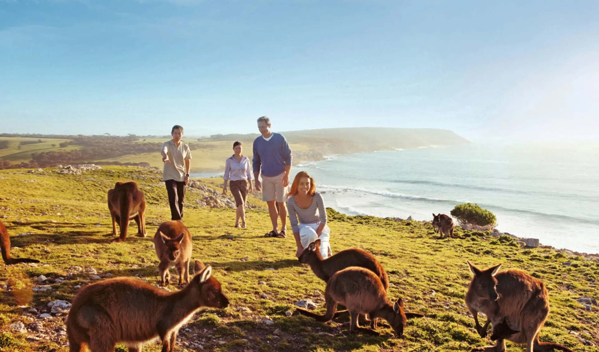 Kangaroo Island in Style ab Adelaide: Australien - Kangaroo Island - Familie mit Kangaroos