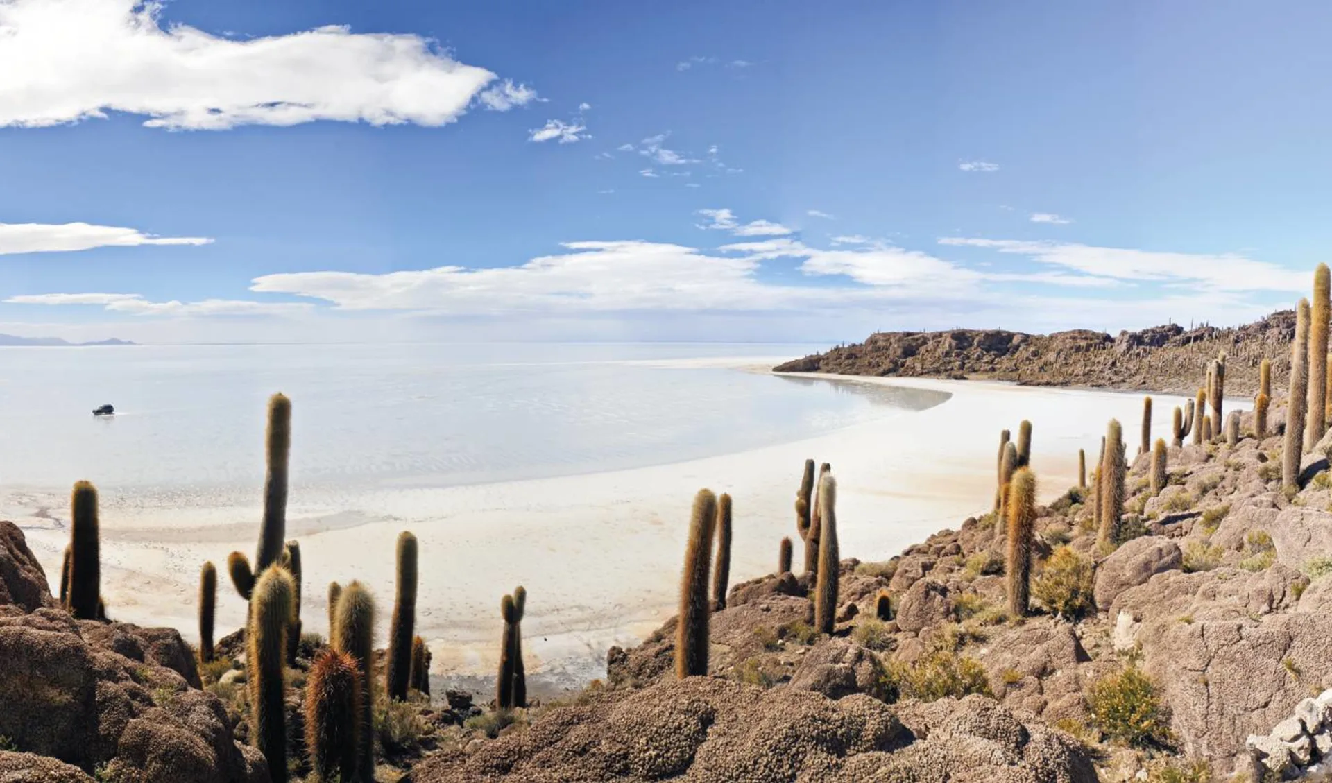 Privatreise Imperio Inca ab Lima: Bolivien - Salar de Uyuni - Insel mit Kakteen