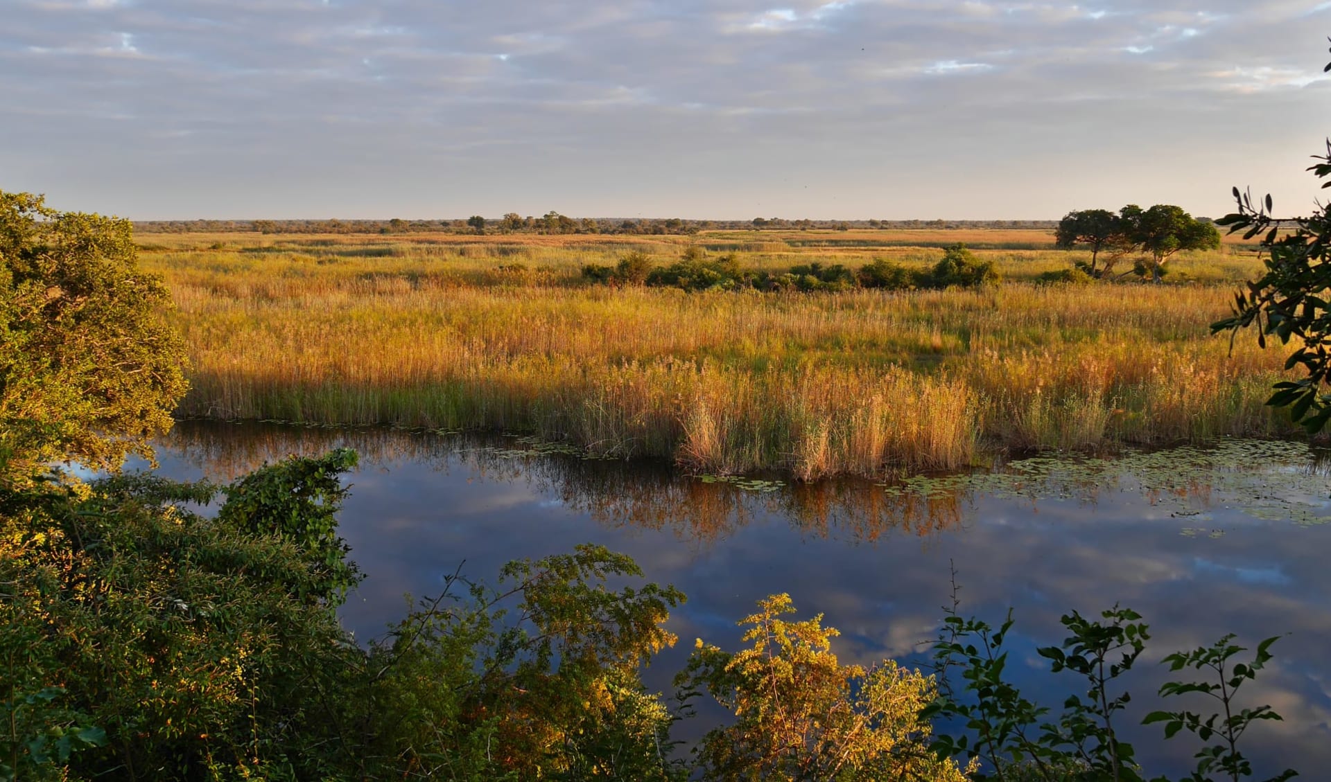 Namibia & Zambezi Highlights ab Windhoek Stadt: Bwabwata NP_Kwando River Namibia & Zambezi Highlights ab Windhoek Stadt: Bwabwata NP_Kwando River