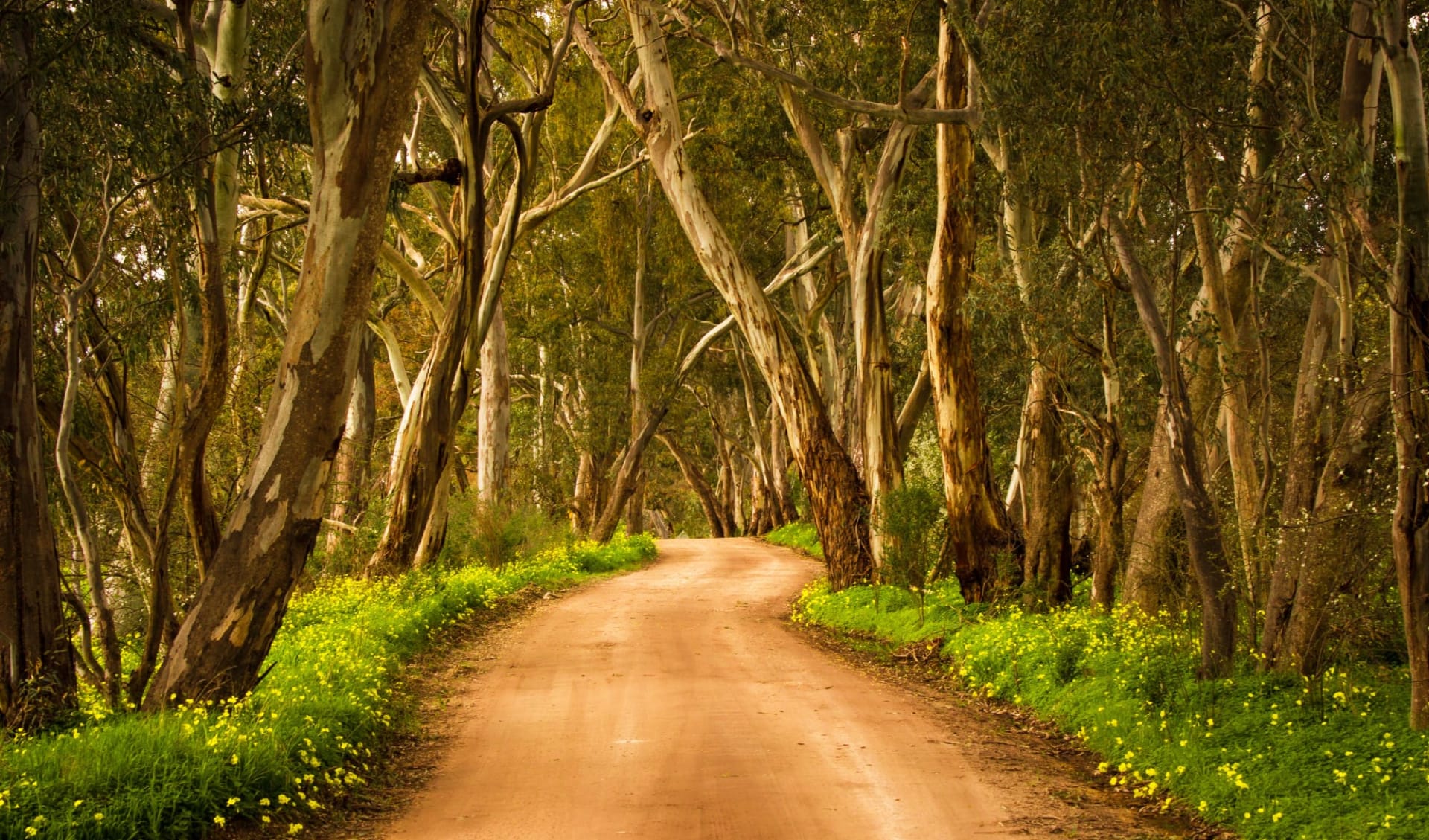 Best of the Flinders Ranges ab Adelaide: Clare Valley