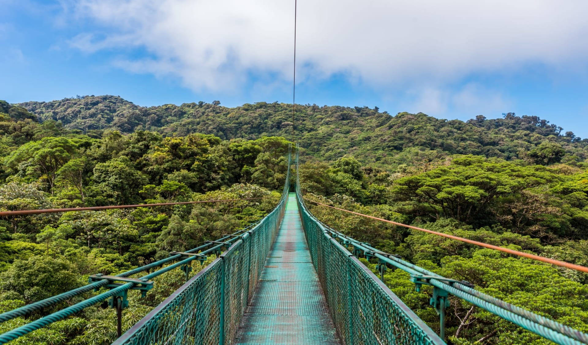 Mietwagenreise Zwischen zwei Ozeanen ab San José City: Costa Rica - Monteverde - hängende Brücke Mietwagenreise Zwischen zwei Ozeanen ab San José City: Costa Rica - Monteverde - hängende Brücke