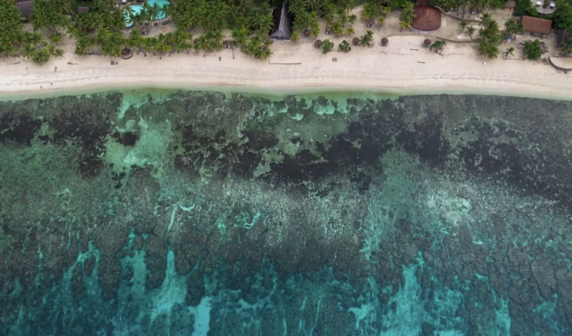 Coco Grove Beach Resort in Siquijor:  Areal View