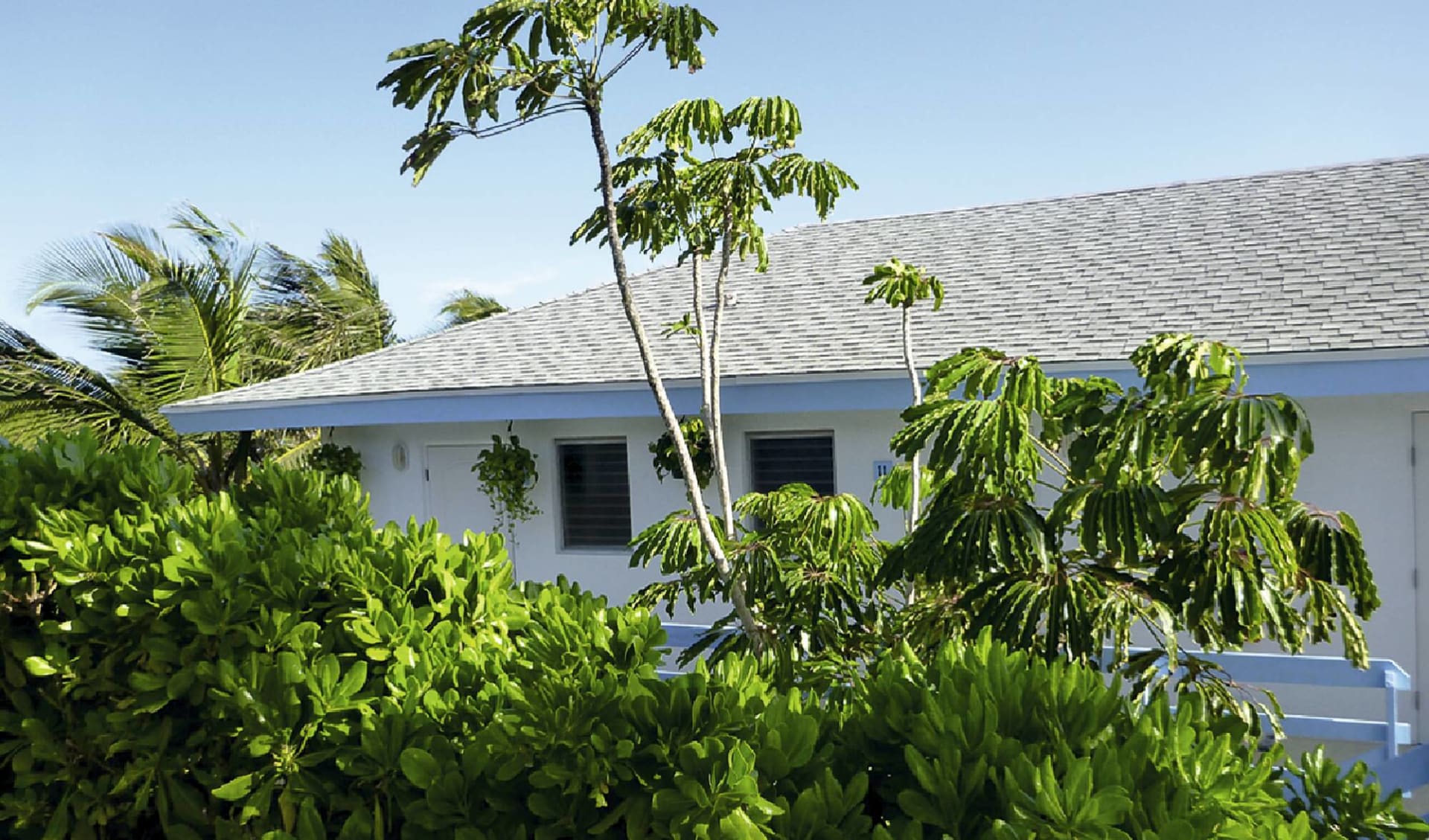 Stella Maris Resort Club: exterior stella maris resort club hotelansicht palmen