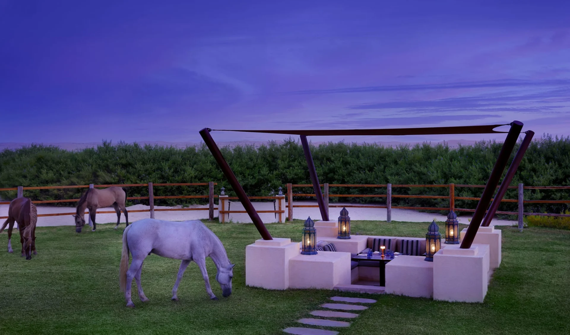 Al Wathba, a Luxury Collection Desert Resort & Spa, Abu Dhabi:  Terra Seca