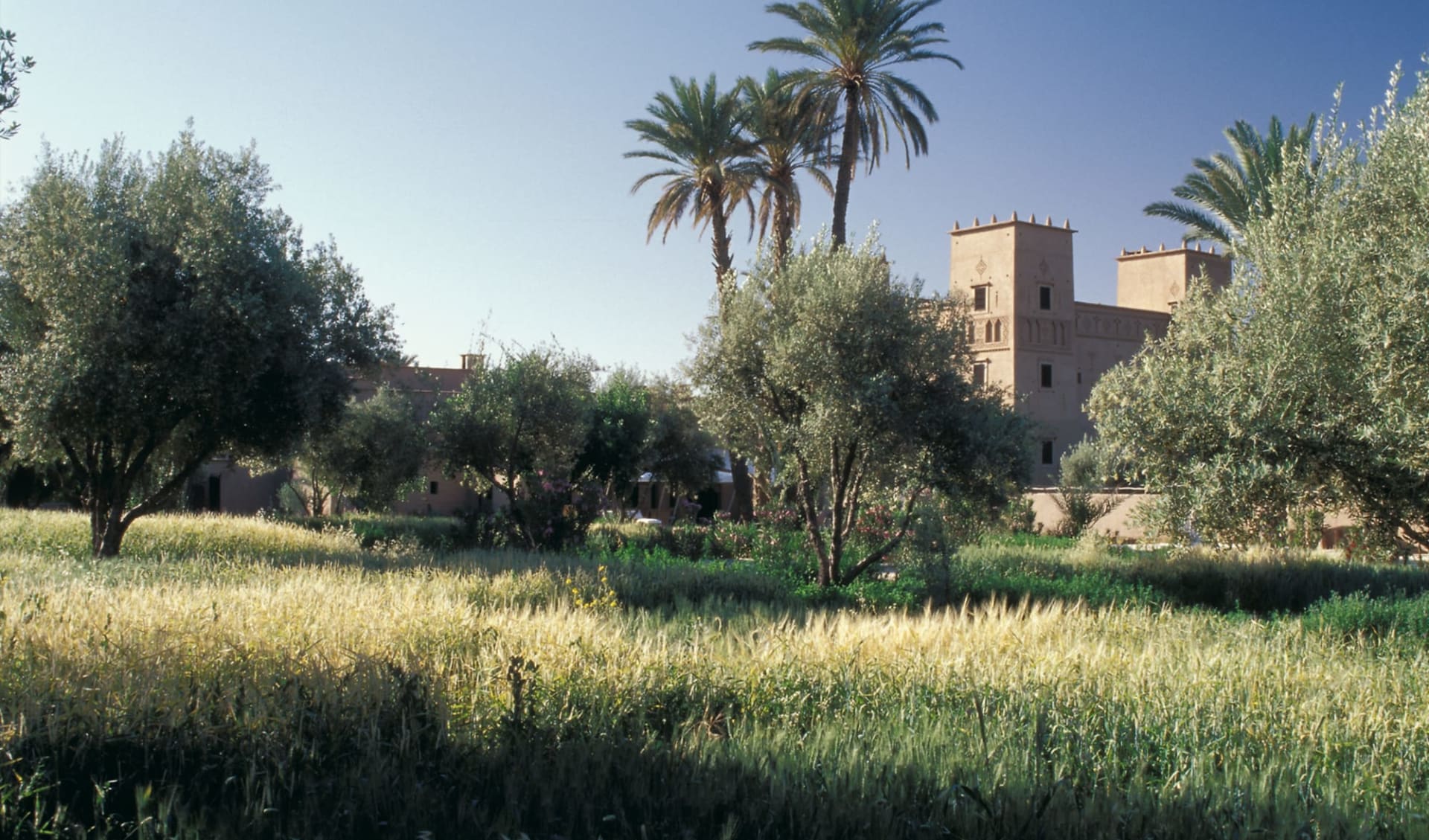 Dar Ahlam in Skoura: exterior: Dar Ahlam in Skoura: exterior: