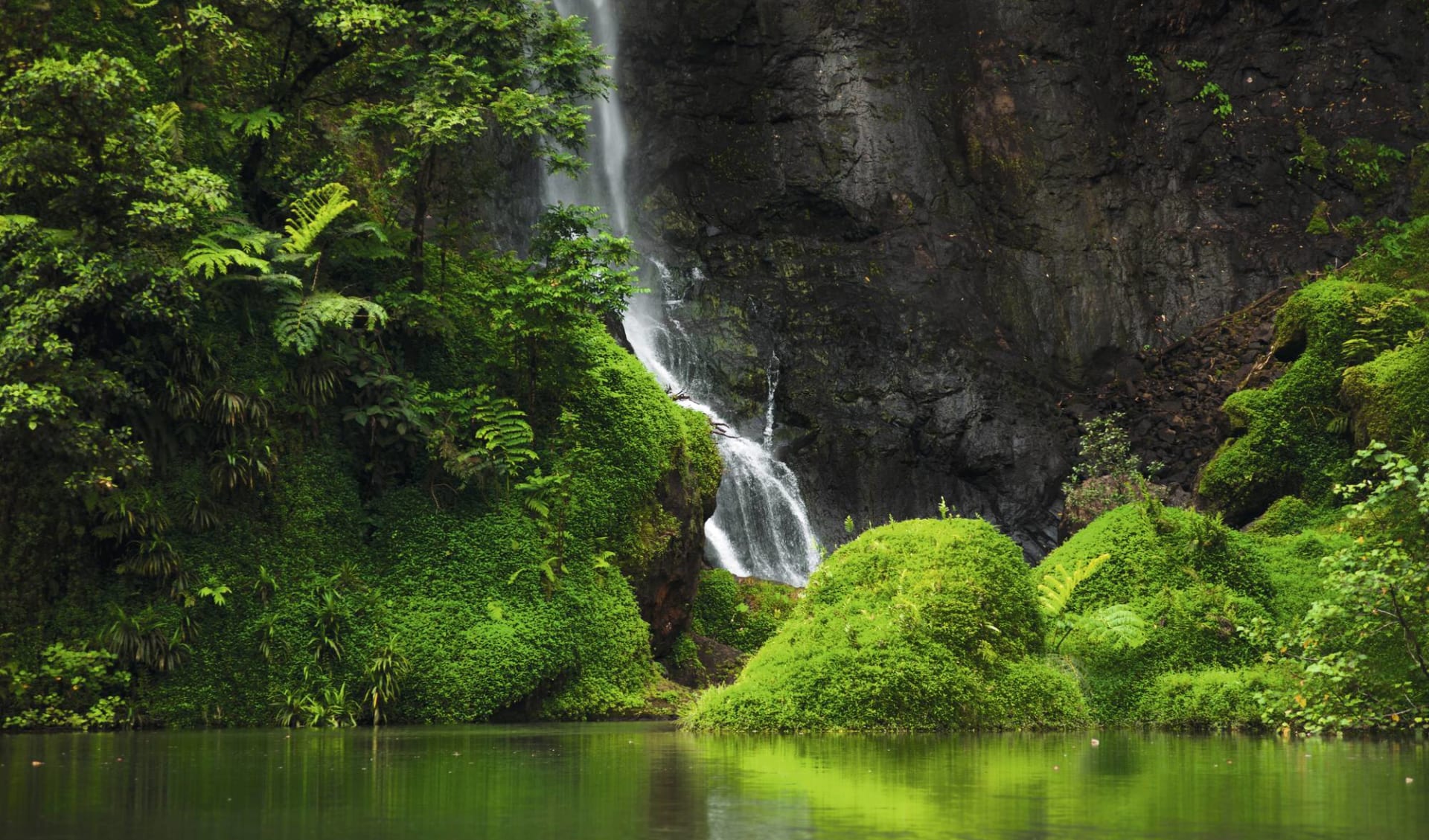 Island Hopping ab Papeete: Tahiti, Papeeno Valley