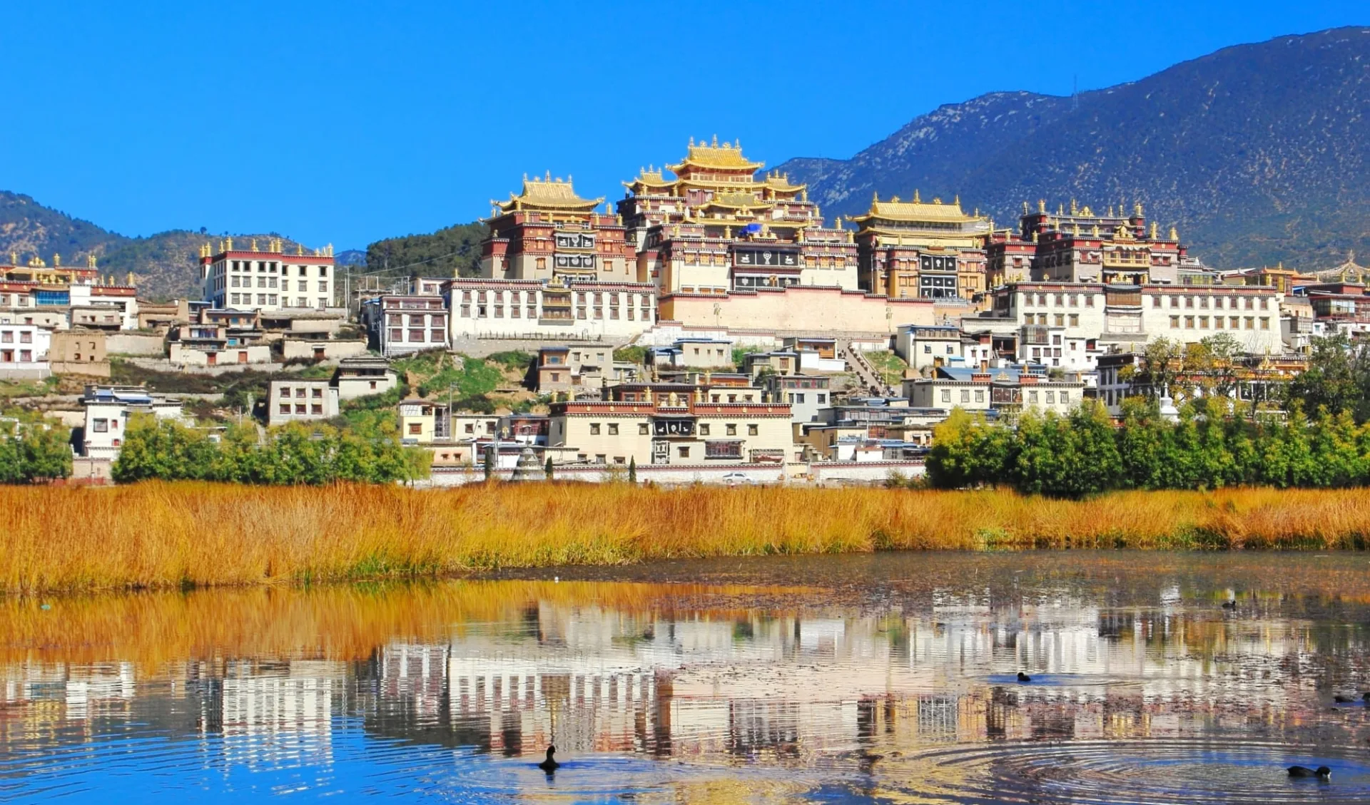 Höhepunkte Yunnans ab Kunming: Ganden Sumtseling Monastery Zhongdian Höhepunkte Yunnans ab Kunming: Ganden Sumtseling Monastery Zhongdian