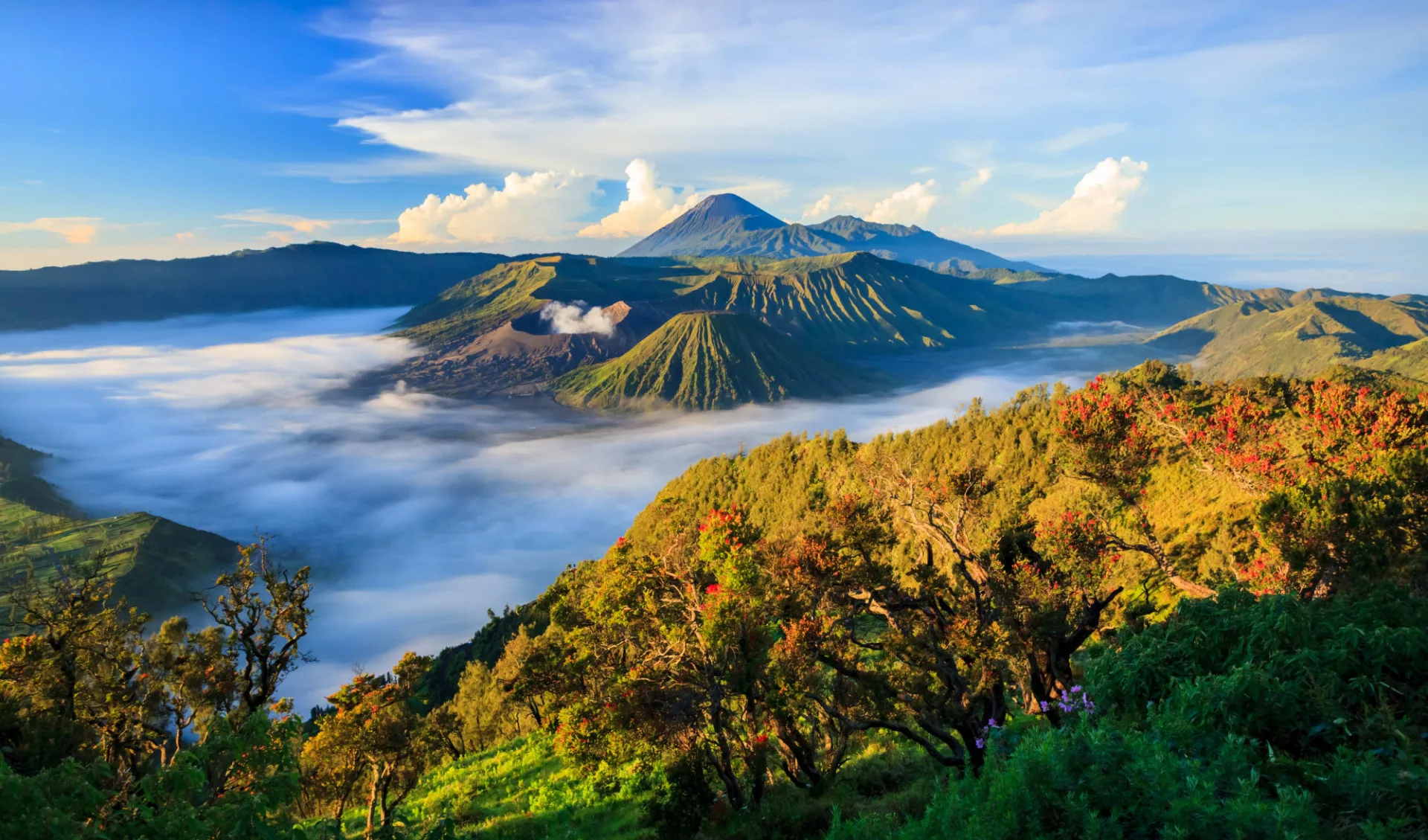 Java-Bali Kompakt ab Yogyakarta: Java Mount Bromo Java-Bali Kompakt ab Yogyakarta: Java Mount Bromo