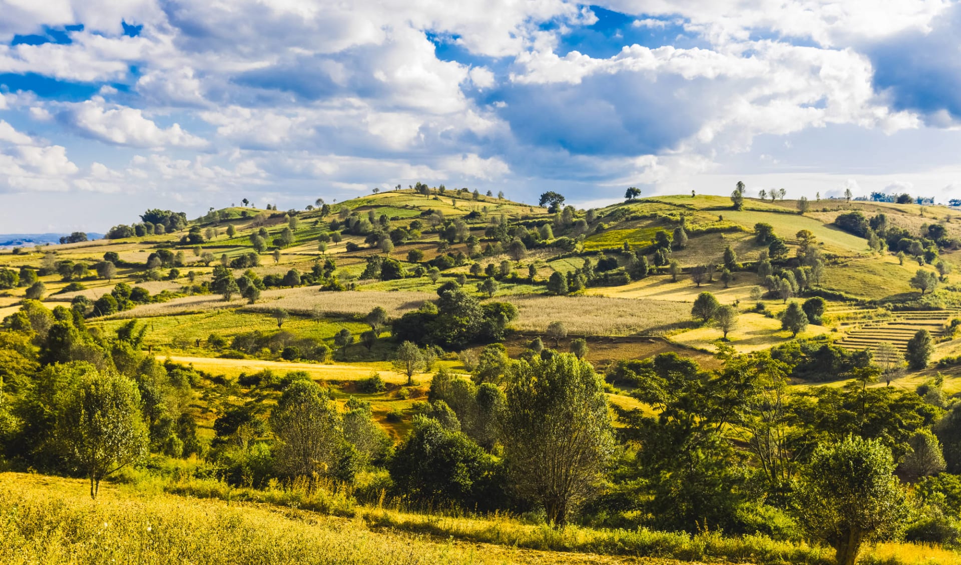 Wandern im malerischen Shan Staat (4 Tage) ab Inle Lake: Kalaw countryside Wandern im malerischen Shan Staat (4 Tage) ab Inle Lake: Kalaw countryside