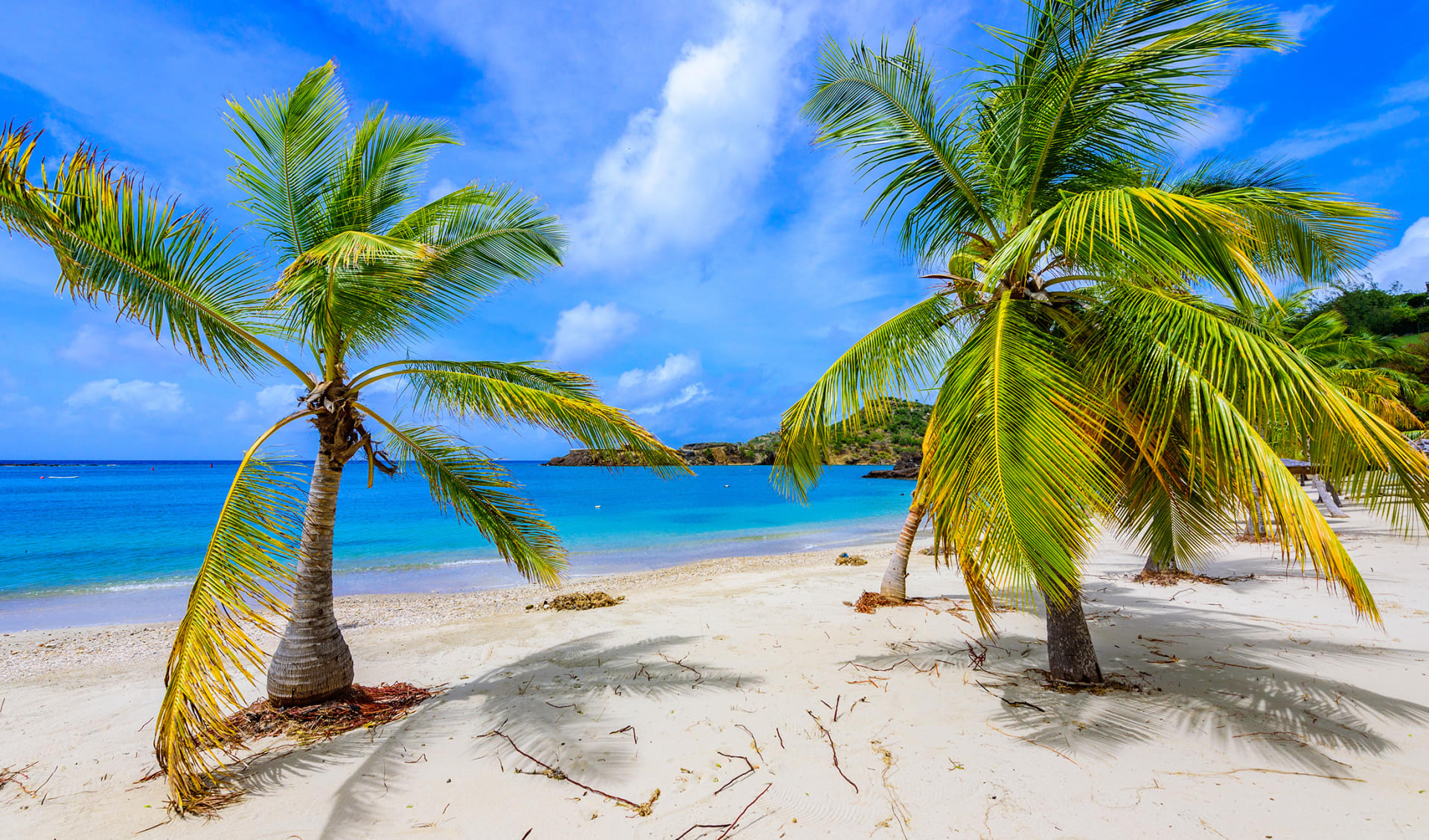 Antigua, Karibik Antigua, Karibik