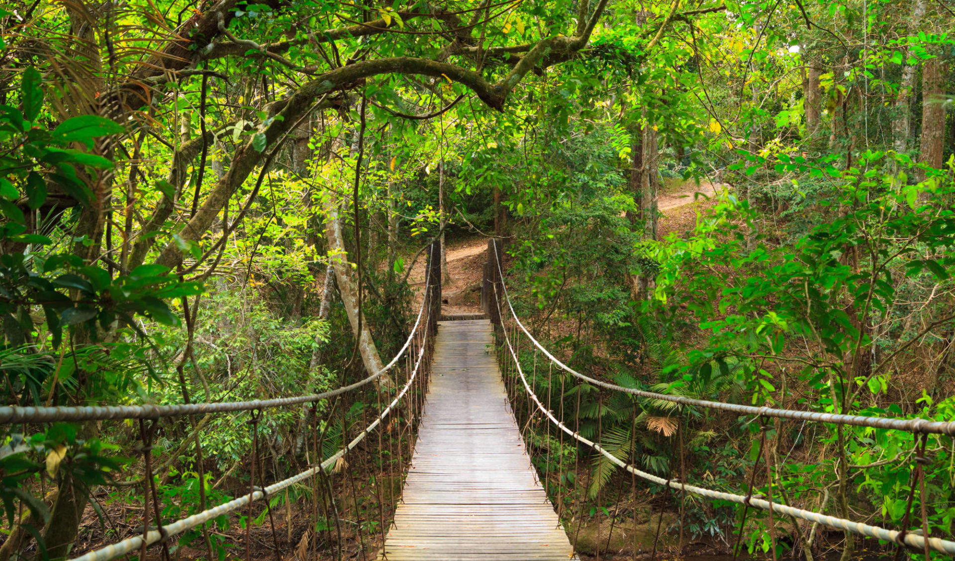 Natur & Kultur rund um Bangkok: Khao Yai  National Park: