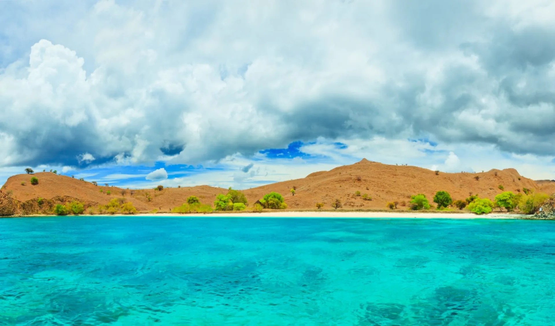 Komodo - Inseln der Warane ab Labuan Bajo: Komodo National Park | Pantai Merah Pink Beach Komodo - Inseln der Warane ab Labuan Bajo: Komodo National Park | Pantai Merah Pink Beach