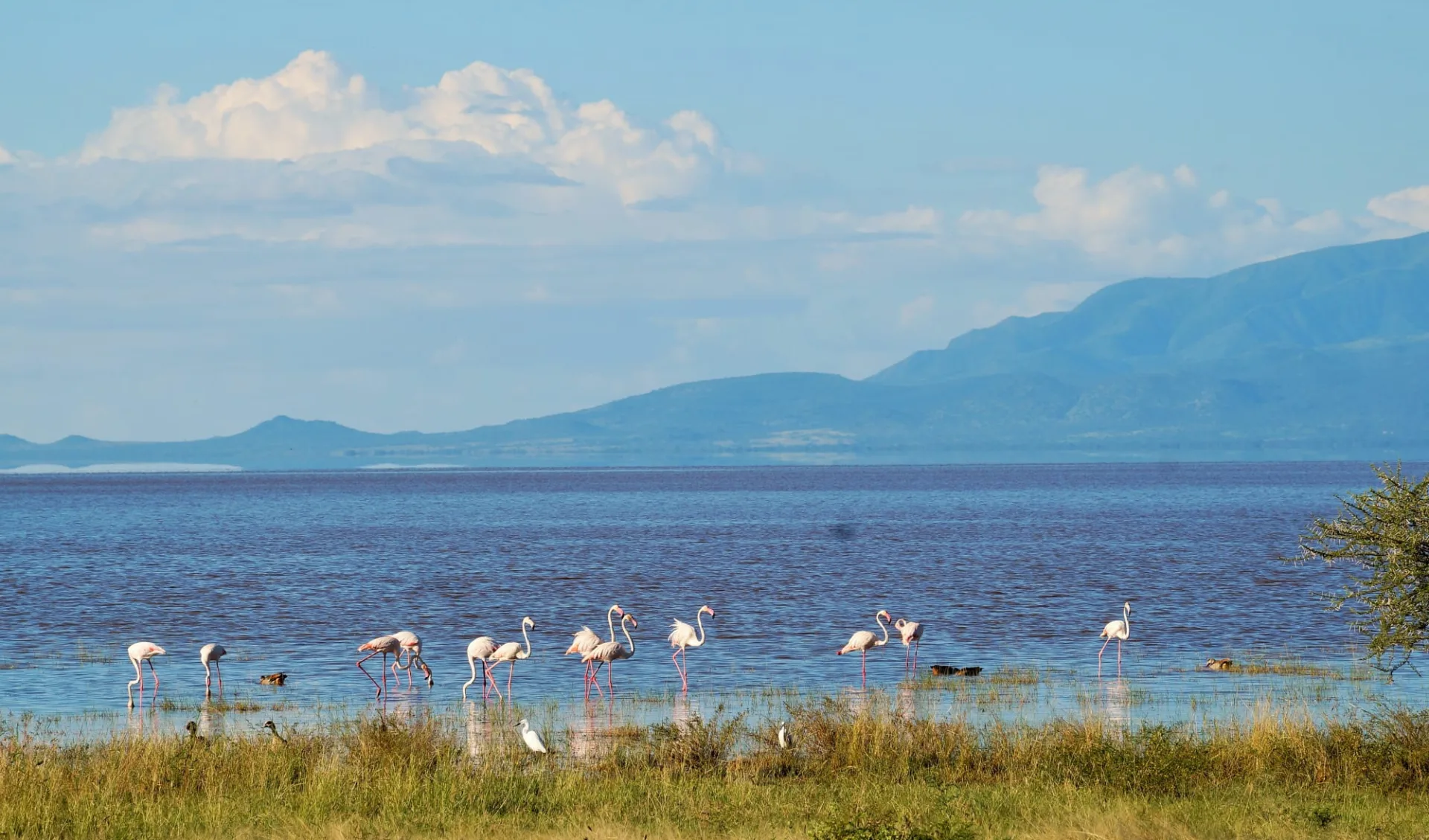 Tanzania Camping Adventure ab Arusha: Lake Manyara