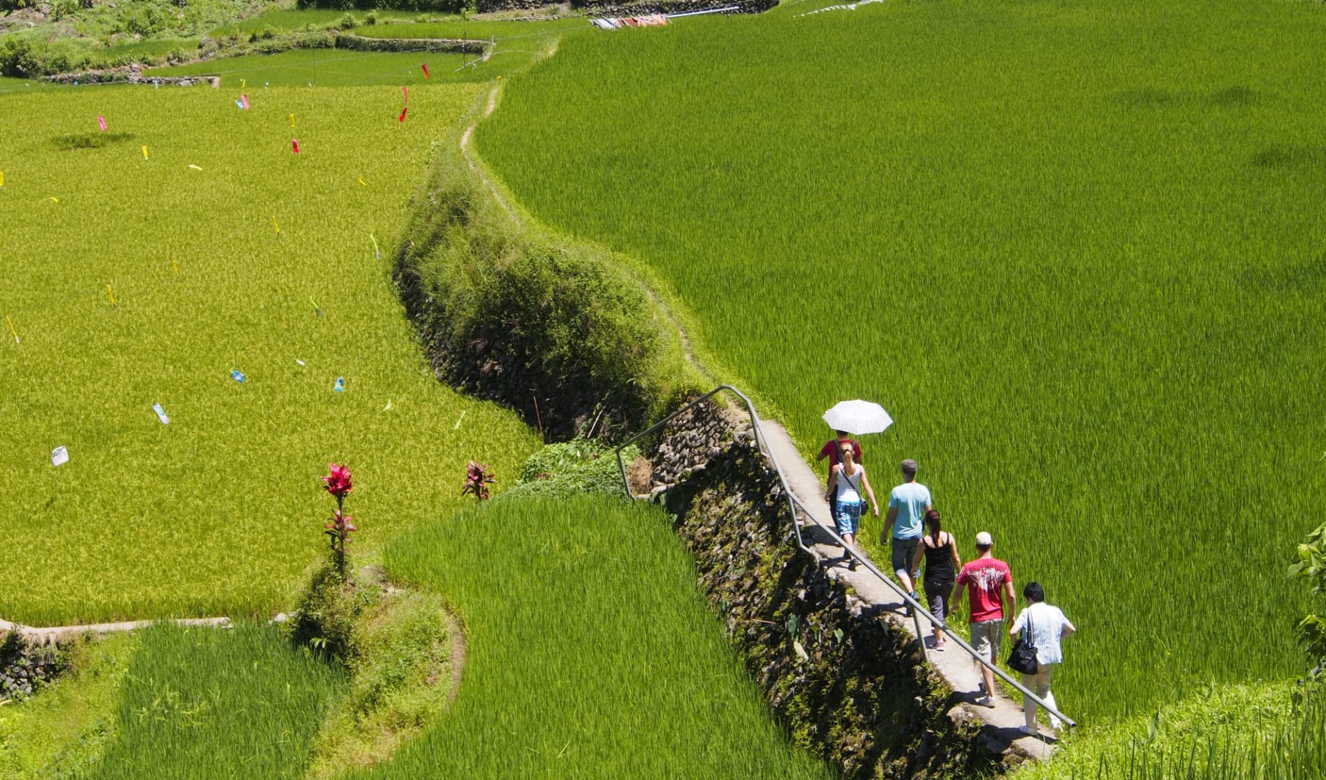 Nord-Luzon Rundreise inkl. Wanderung nach Batad ab Manila: Luzon Banaue trekking through paddy fields Nord-Luzon Rundreise inkl. Wanderung nach Batad ab Manila: Luzon Banaue trekking through paddy fields