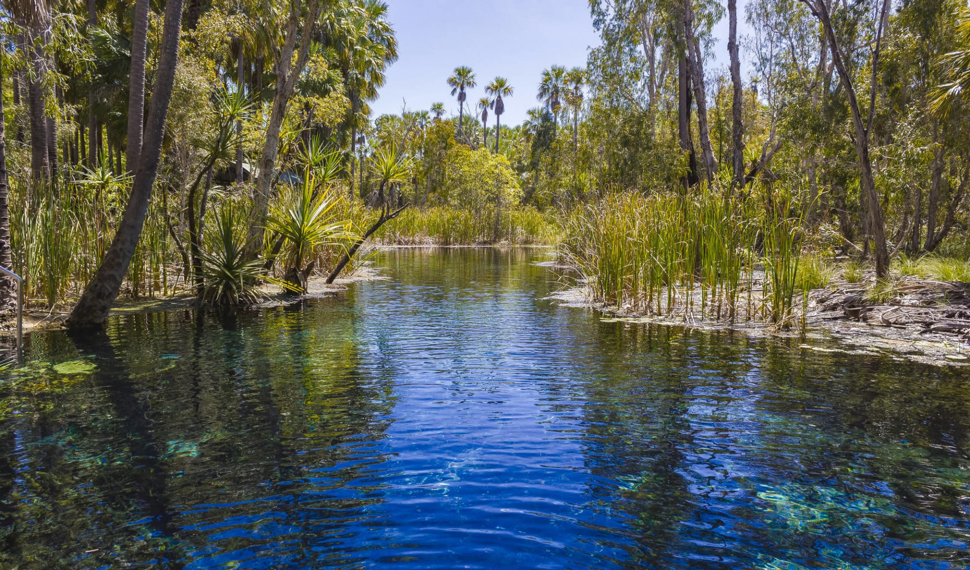 Savannah Way ab Cairns: Mataranka Hot Springs in Waterhouse River Savannah Way ab Cairns: Mataranka Hot Springs in Waterhouse River