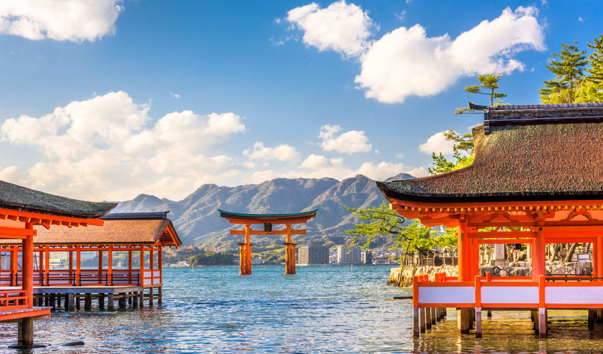 Gruppenreise «Best of Japan» ab Tokio: Miyajima Shrine Gruppenreise «Best of Japan» ab Tokio: Miyajima Shrine